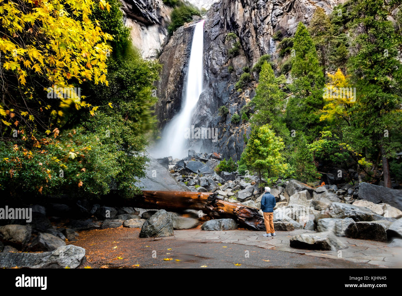 Paysage de Yosemite National Park, Californie Banque D'Images