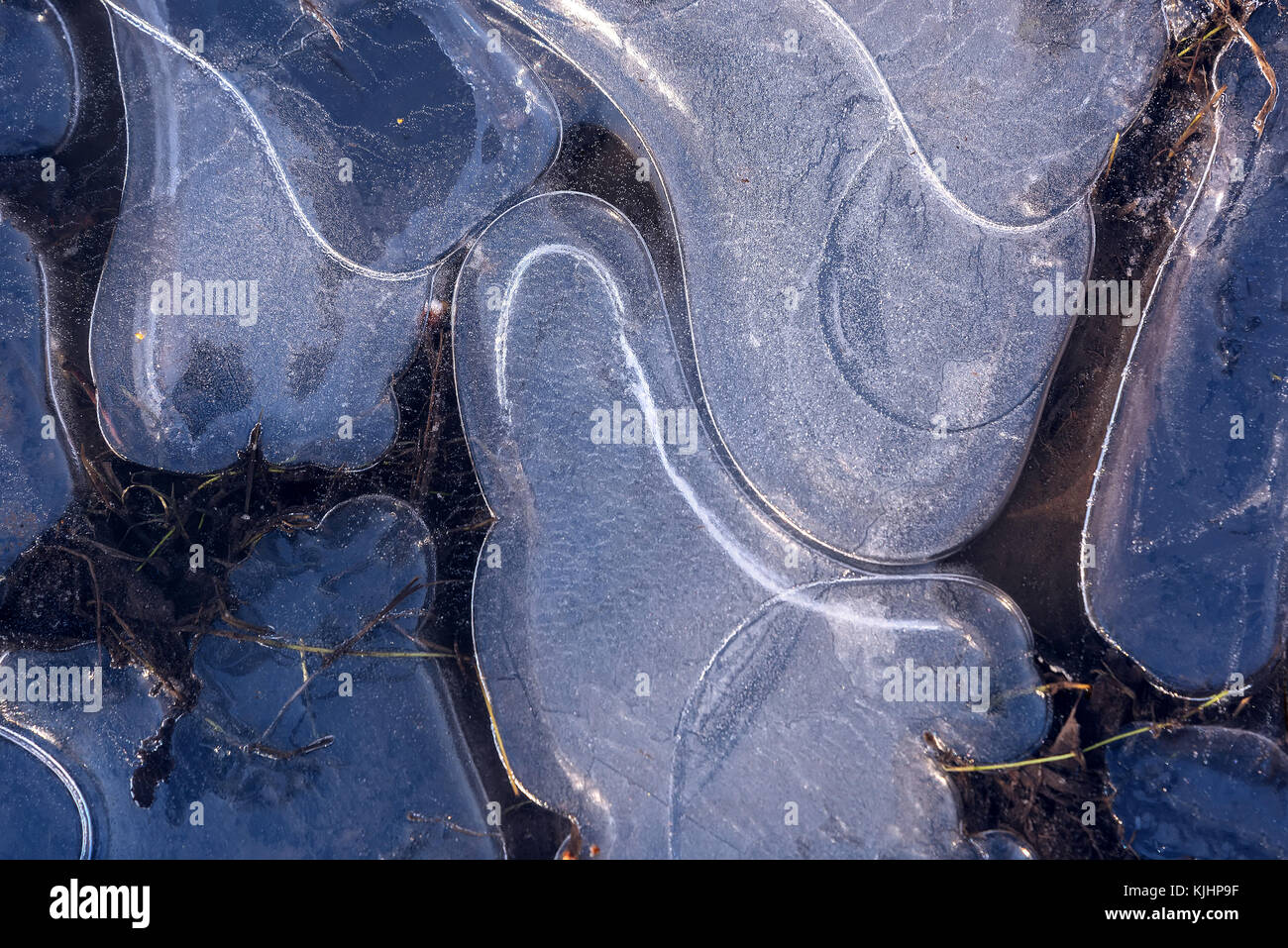 Beau fond d'hiver avec un motif d'une fine couche de glace sur une flaque d'eau dans la forme de formes différentes dans la lumière du soleil Banque D'Images