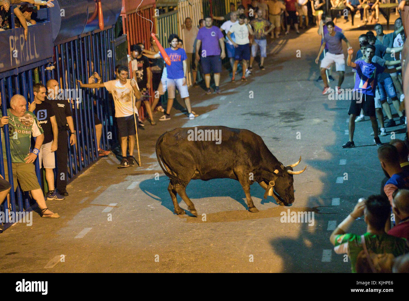 Bull Run à Orba, Espagne Photo Stock - Alamy