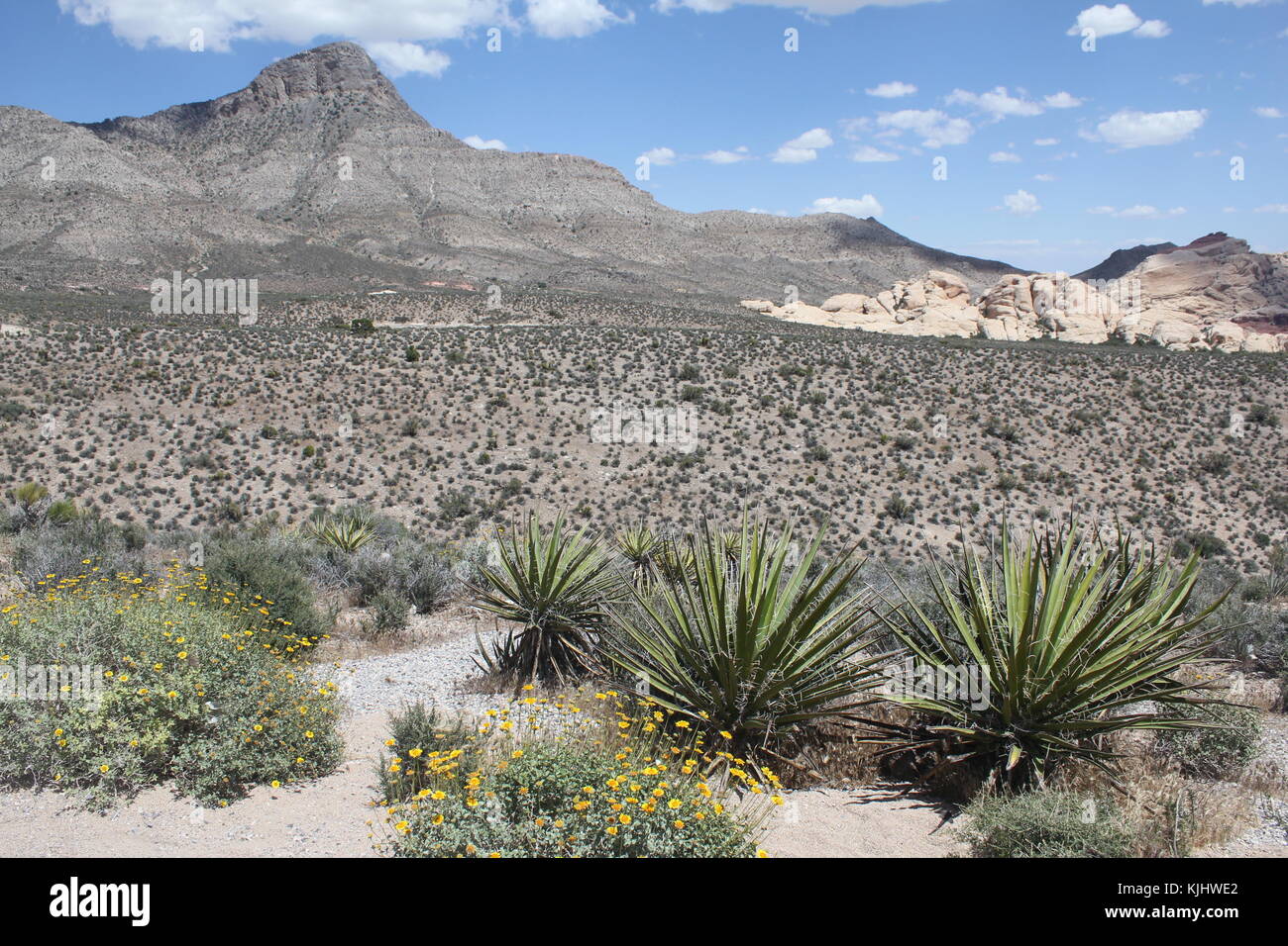 Des scènes et des sujets dans et autour de la Red Rock Canyon National Conservation Area près de Las Vegas, Nevada Banque D'Images