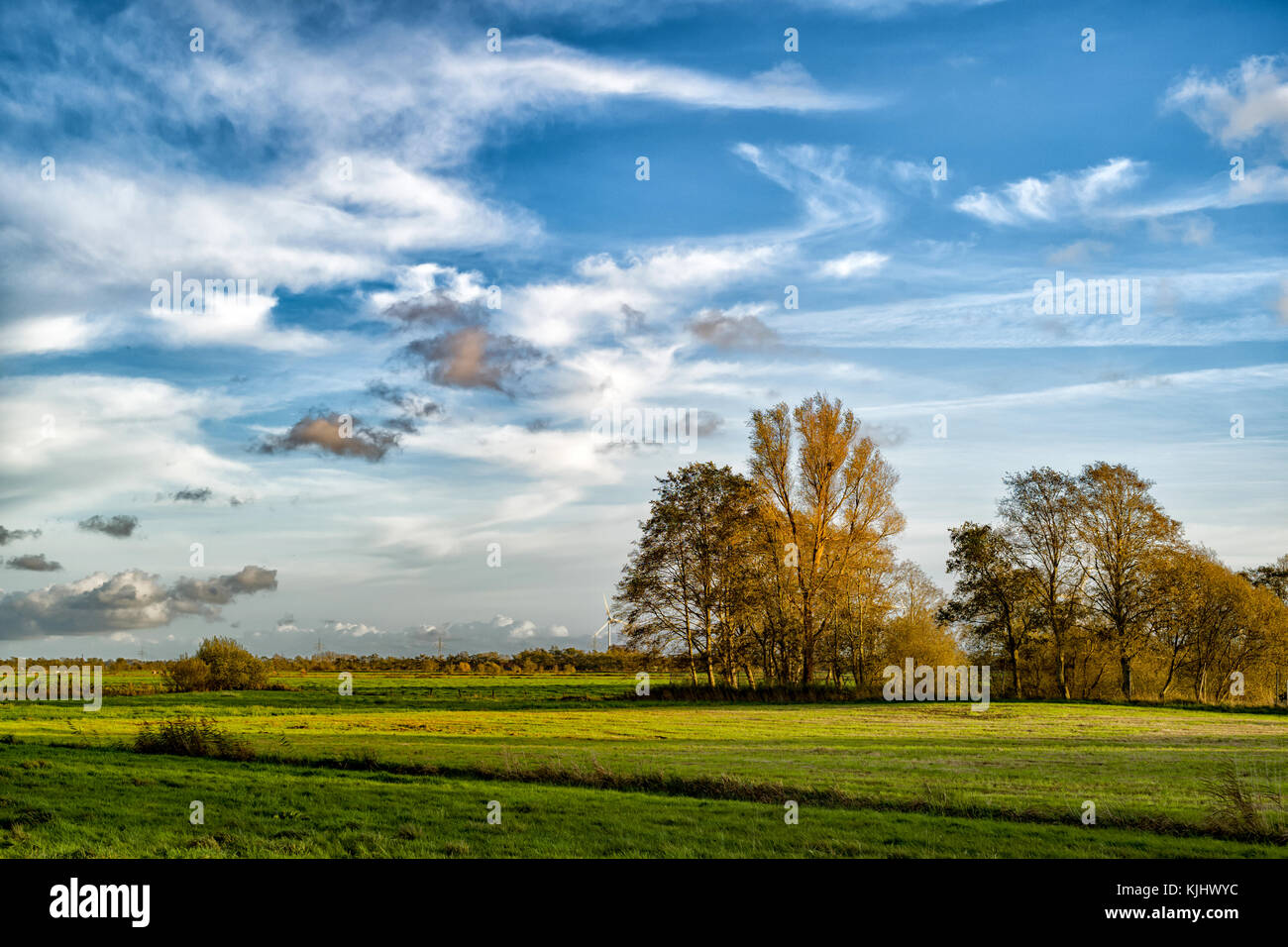 Paysage rural, Tergast, Leer, Basse-Saxe, Allemagne Banque D'Images