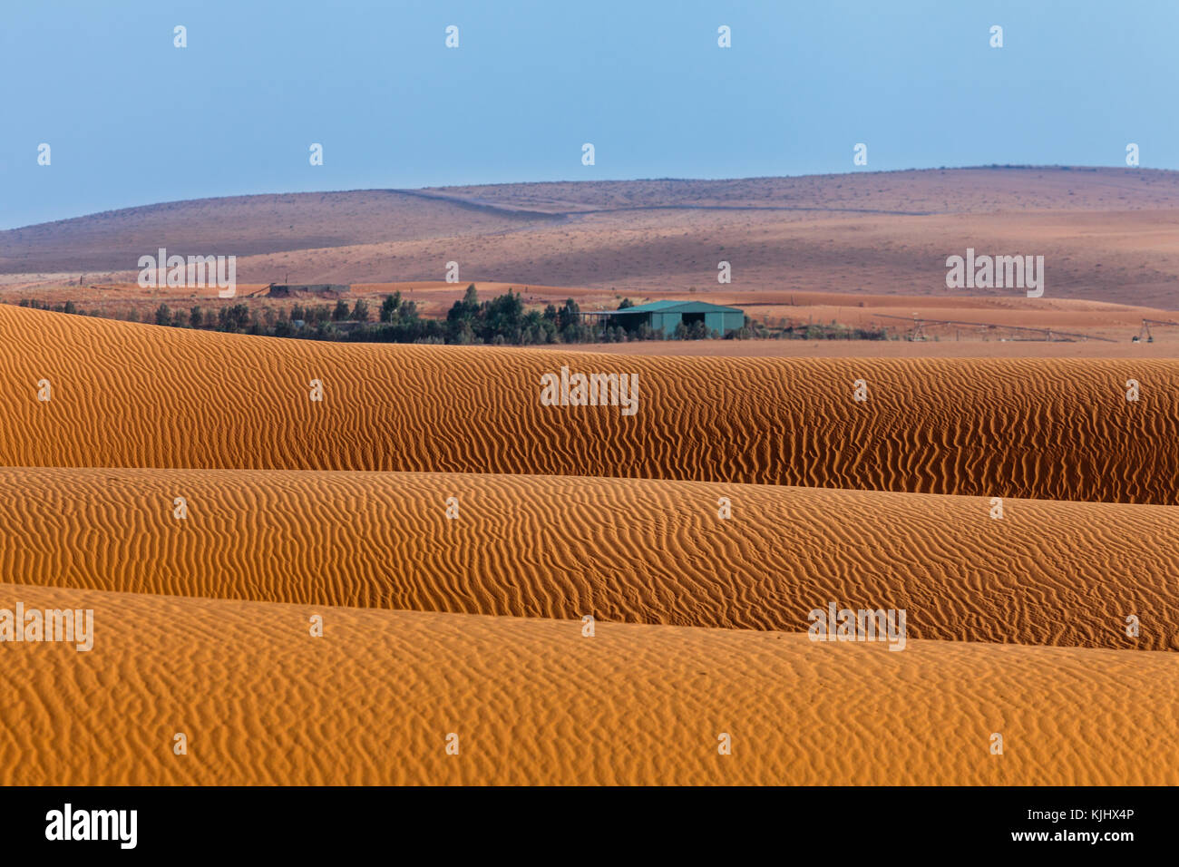 Dune de sable dans le désert, l'Arabie Saoudite Banque D'Images