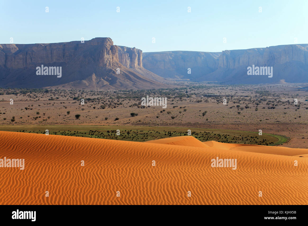 Paysage désertique, l'Arabie Saoudite Banque D'Images