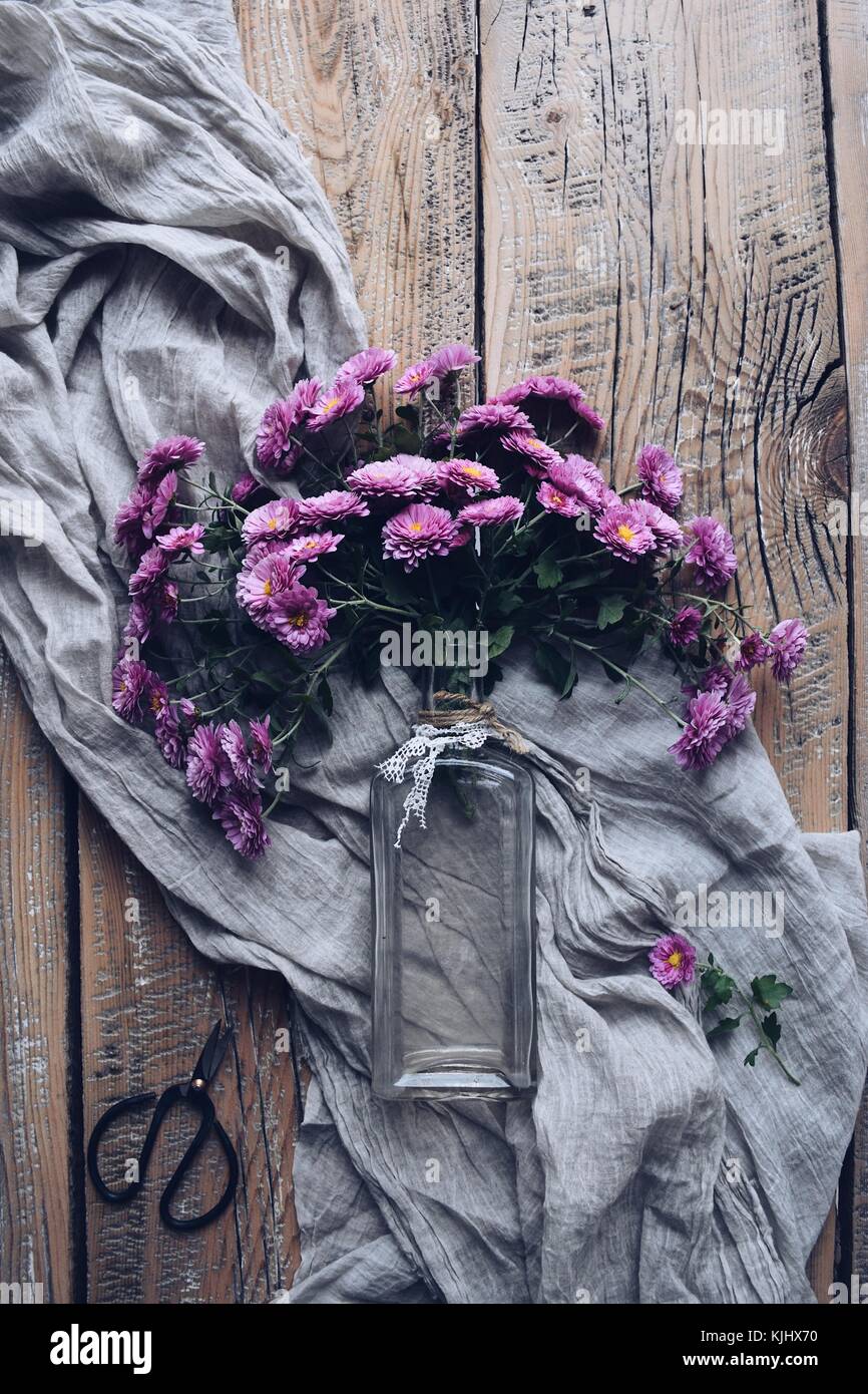Chrysanthème mauve des fleurs dans un vase Banque D'Images