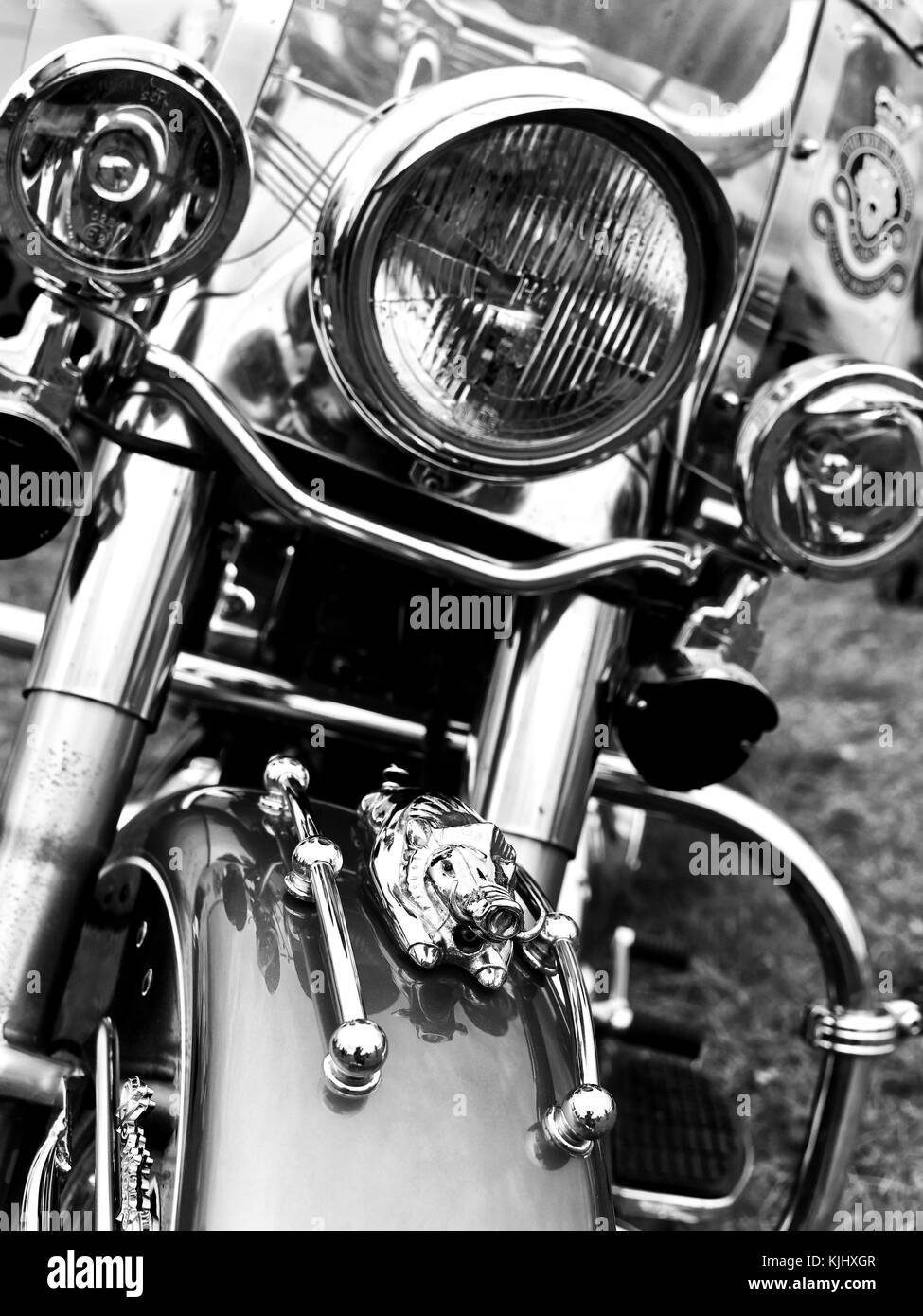 Monochrome B&W Harley Davidson grosse moto à moteur avec une grande mascotte en chrome Hog sur le pare-chocs Banque D'Images