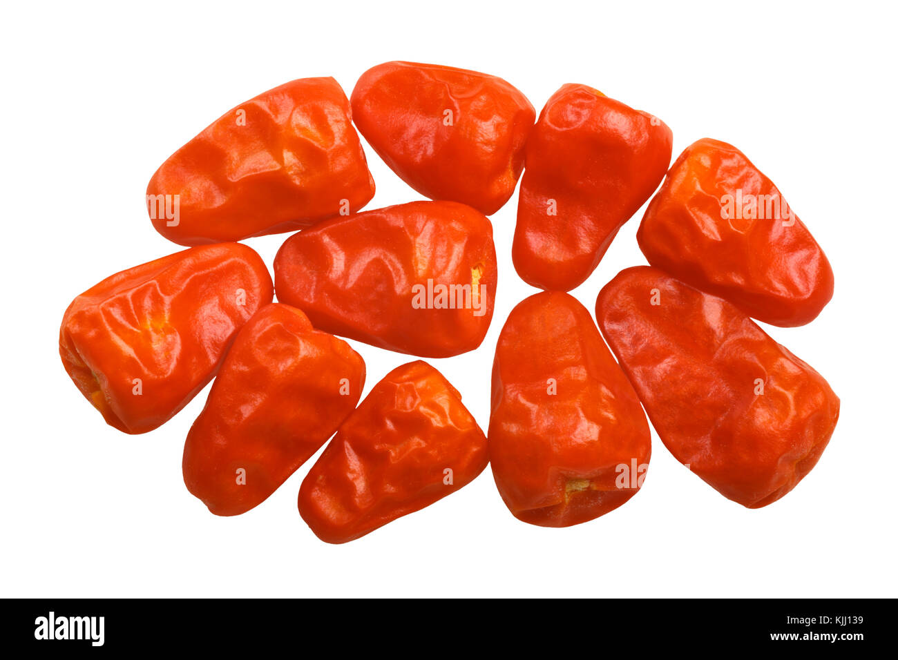 Chili séché pequin poivrons (Capsicum annuum var. glabriusculum), vue du dessus, chemins de détourage Banque D'Images