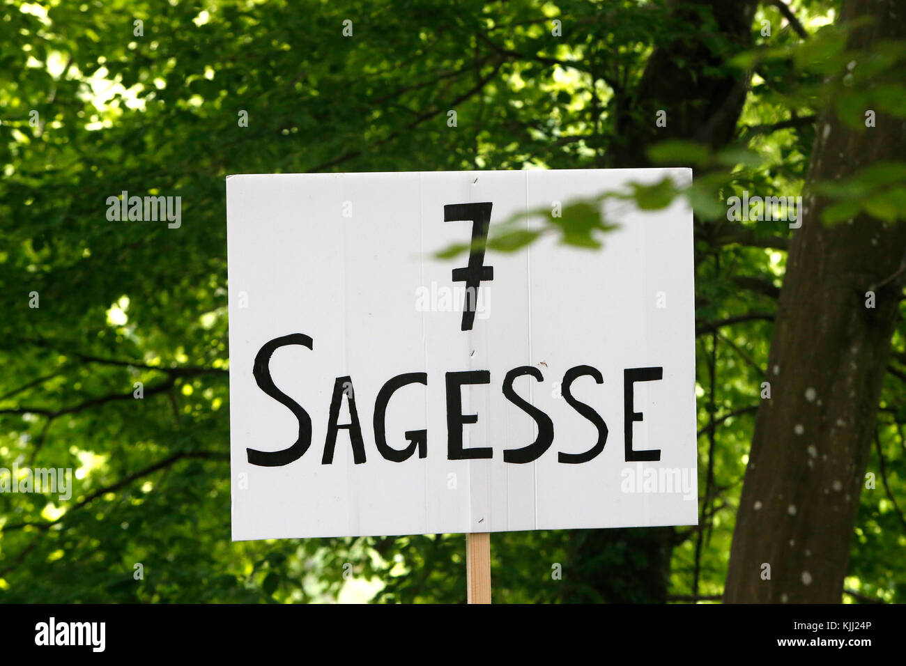 Camp de jeunesse catholique FRAT. Signer : la sagesse. La France. Banque D'Images