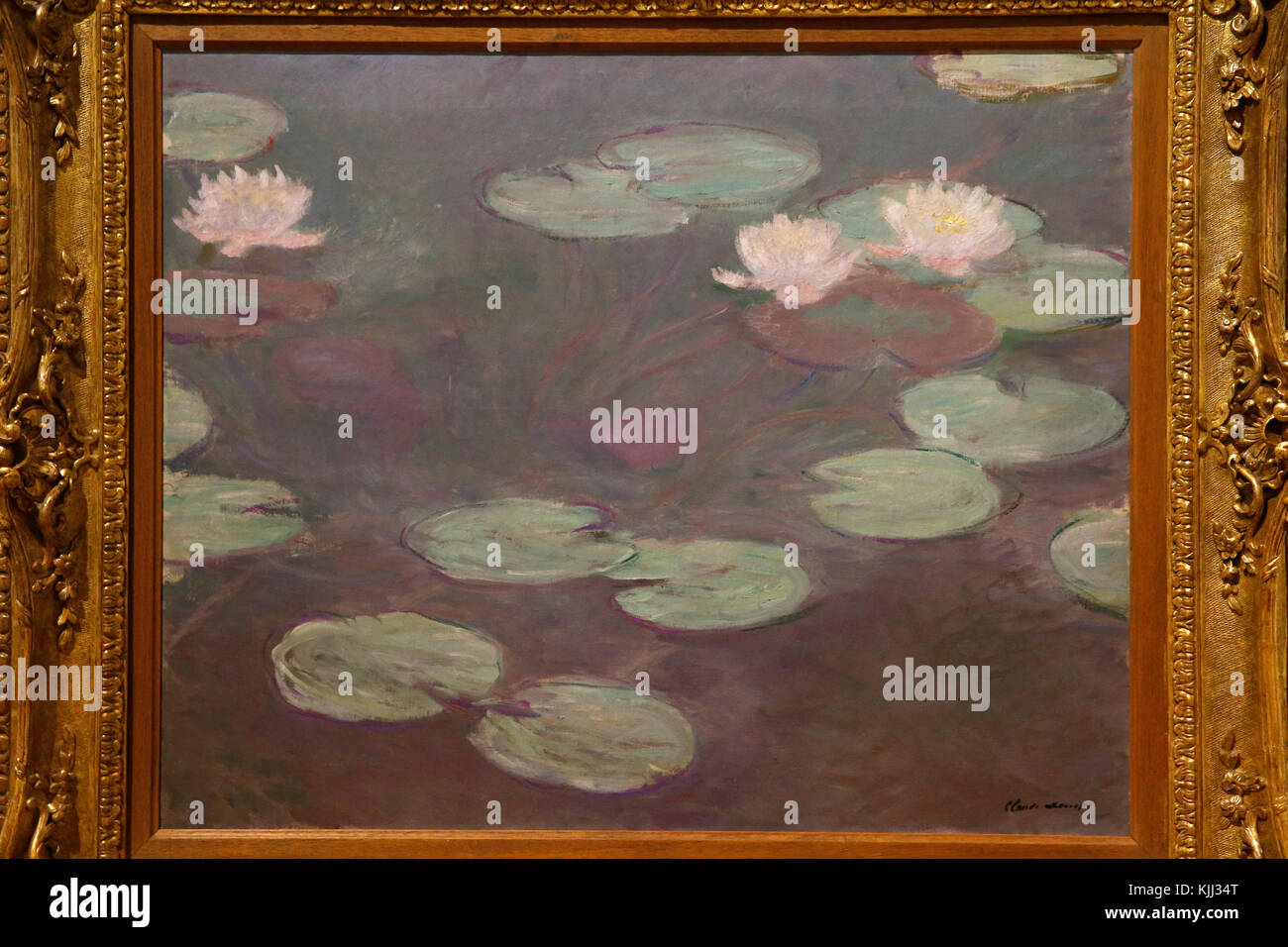 Musée d'Art Moderne, Rome. Claude Monet. Ninfee rosa. 1897-1899. L'Italie. Banque D'Images