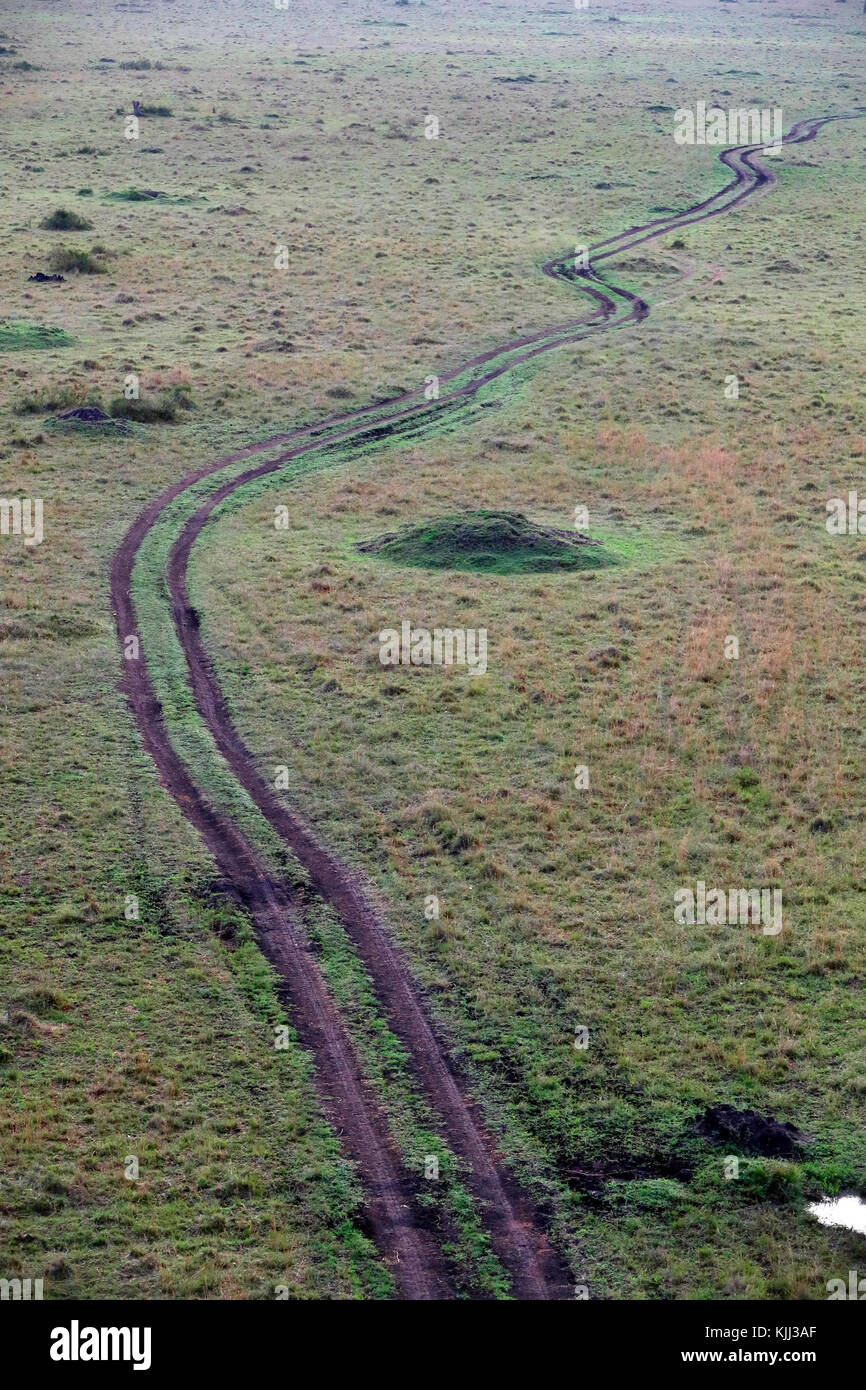 Chemin de terre et acacias, vue aérienne. Le Masai Mara. Au Kenya. Banque D'Images