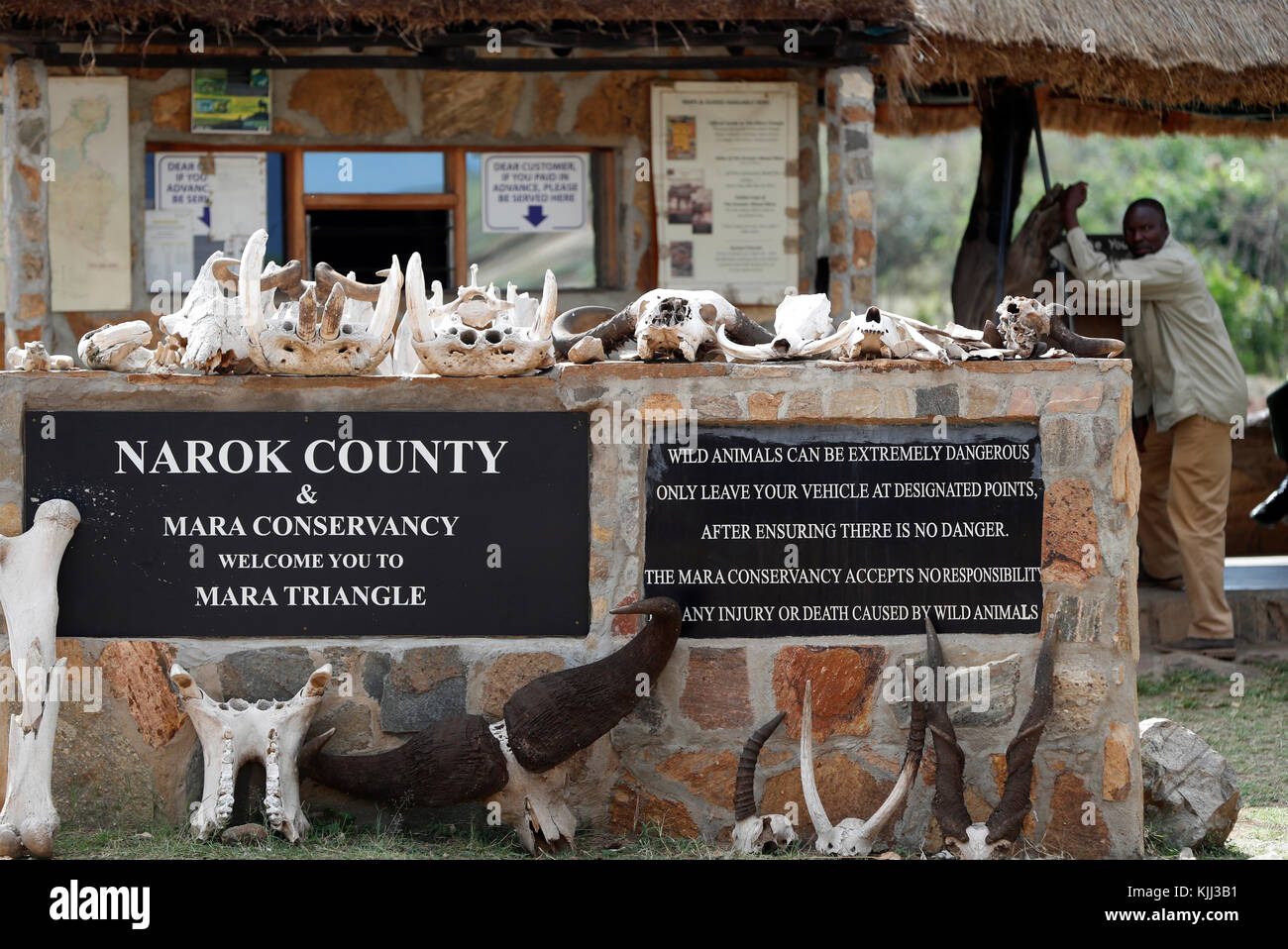 Règle de la Mara. Le Masai Mara. Au Kenya. Banque D'Images