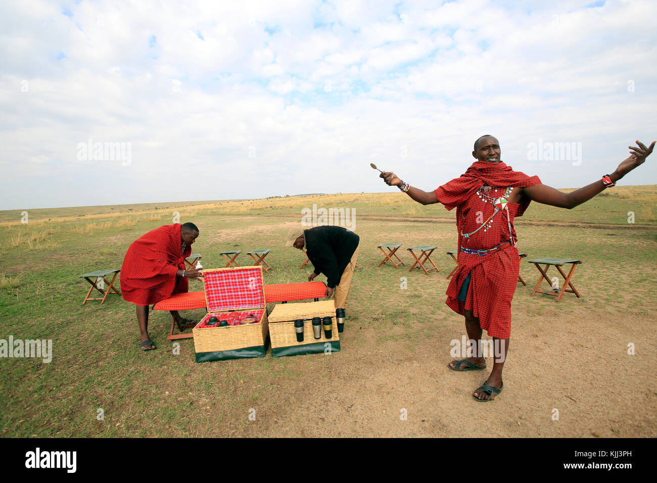 Bush le petit-déjeuner. Le Masai Mara. Au Kenya. Banque D'Images