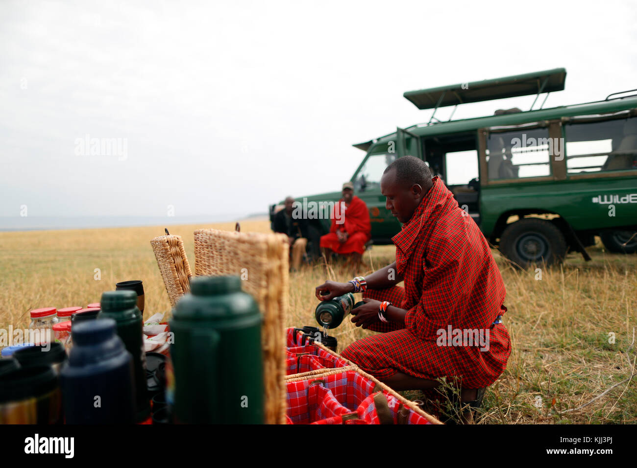 Bush le petit-déjeuner. Le Masai Mara. Au Kenya. Banque D'Images