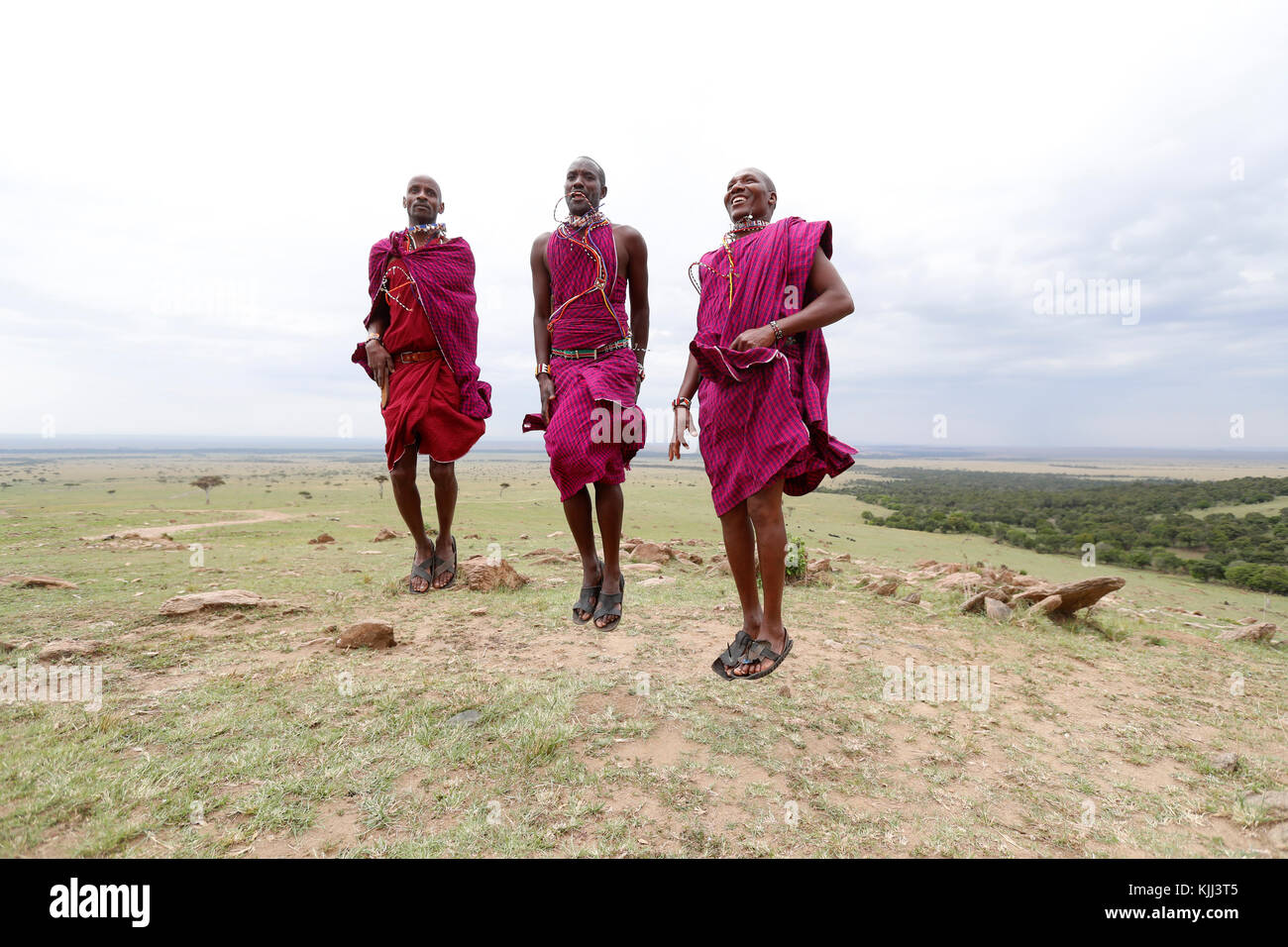 Guerriers Masai faisant le saut traditionnel de la danse. Le Masai Mara. Au Kenya. Banque D'Images