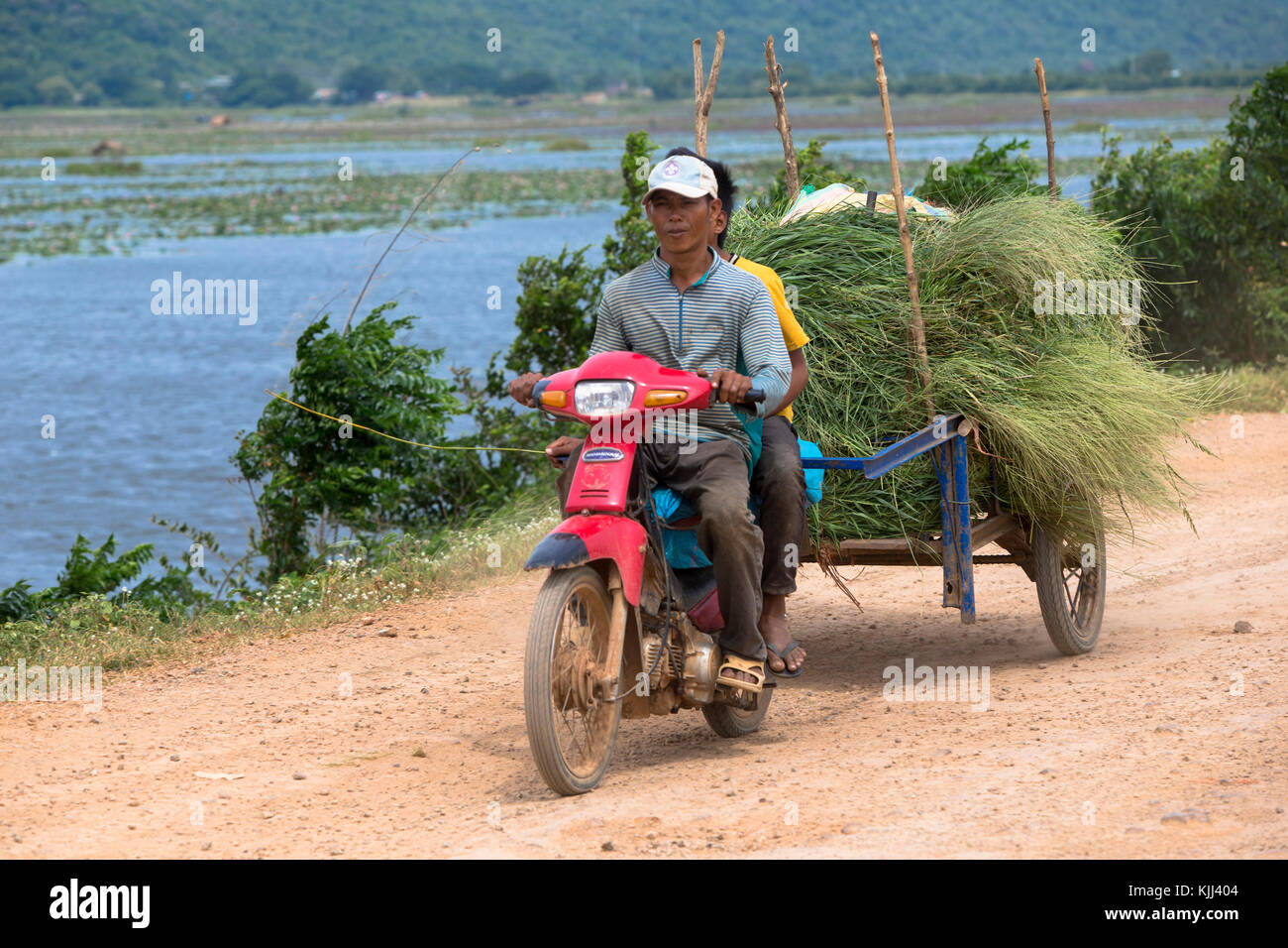Les agriculteurs utilisant un scooter et panier pour le transport de marchandises. Battambang. Le Cambodge. Banque D'Images