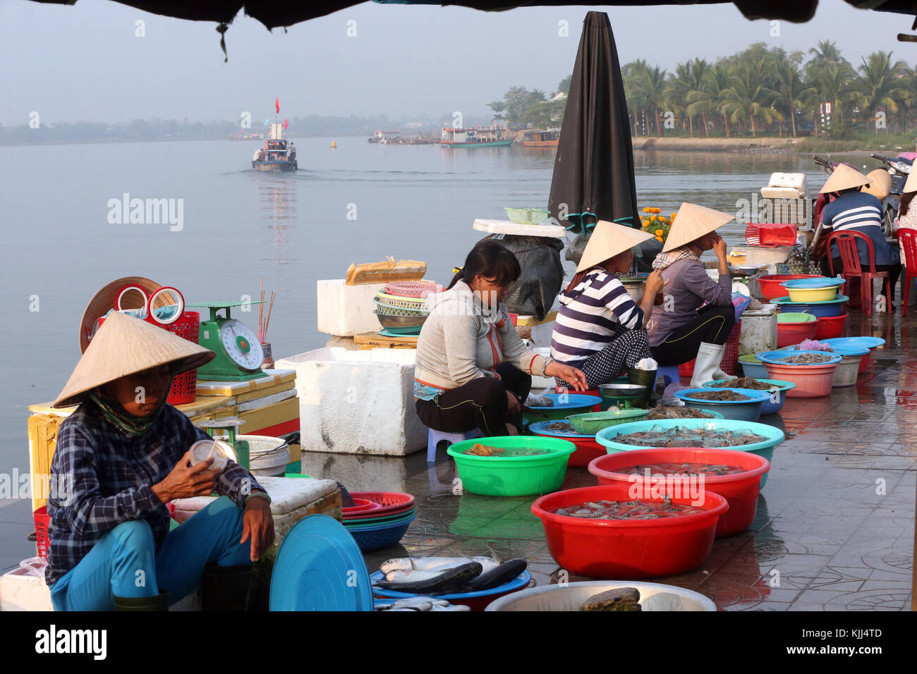 Les femmes vietnamiennes à l'échoppe de marché avec des fruits de mer. Hoi An. Le Vietnam. Banque D'Images