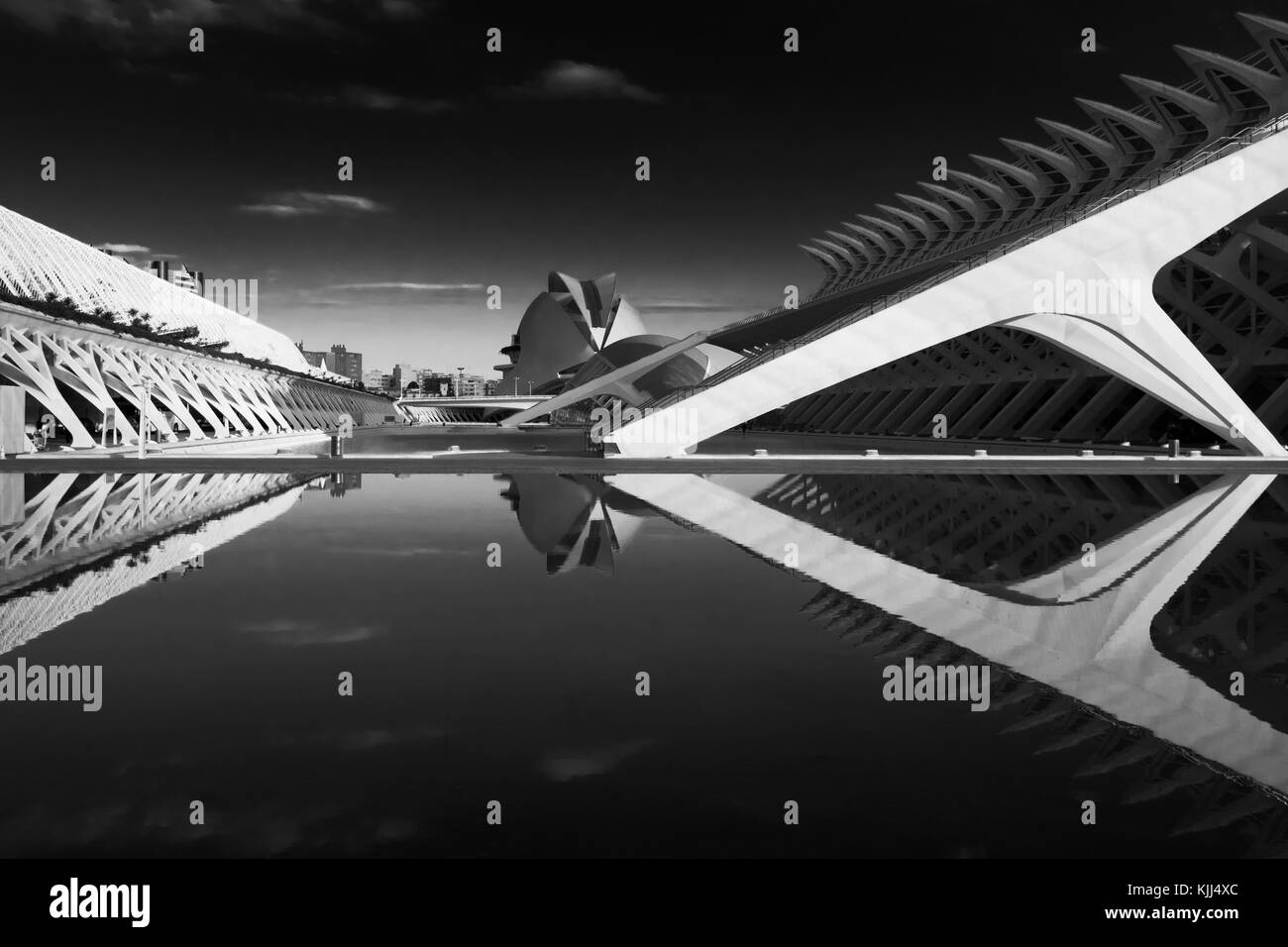 Musée des Sciences de la ville des Arts et des Musées , Valence, Espagne Banque D'Images