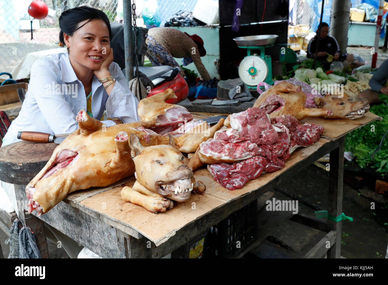 Kon Tum marché. Femme vendant la viande de chien. Le Vietnam. Banque D'Images