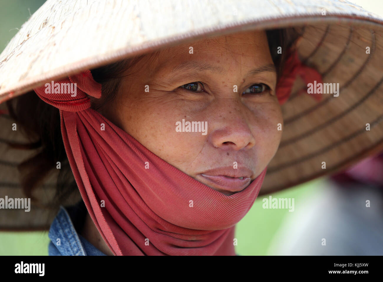 Vietnamienne portant un chapeau conique traditionnelle asiatique. Hoi An. Le Vietnam. Banque D'Images