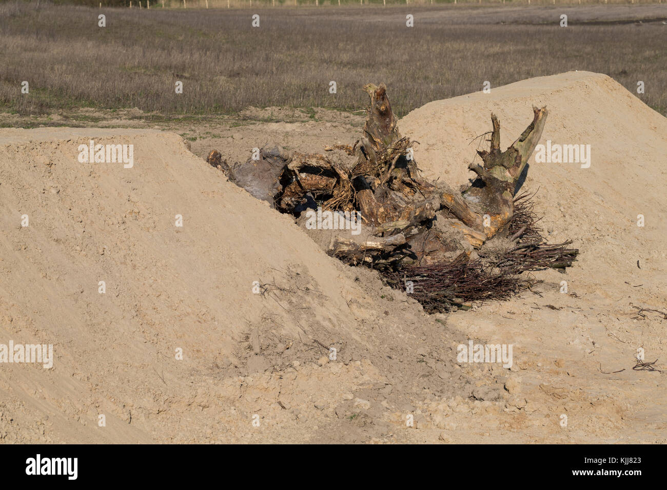 Lebensraum für Zauneidehechse durch Schaffung von Steinhaufen, Legetesinhaufen und Totholz, Lesesteinhaufen, Totholzhaufen in einem Sandgebiet, Sand, so Banque D'Images