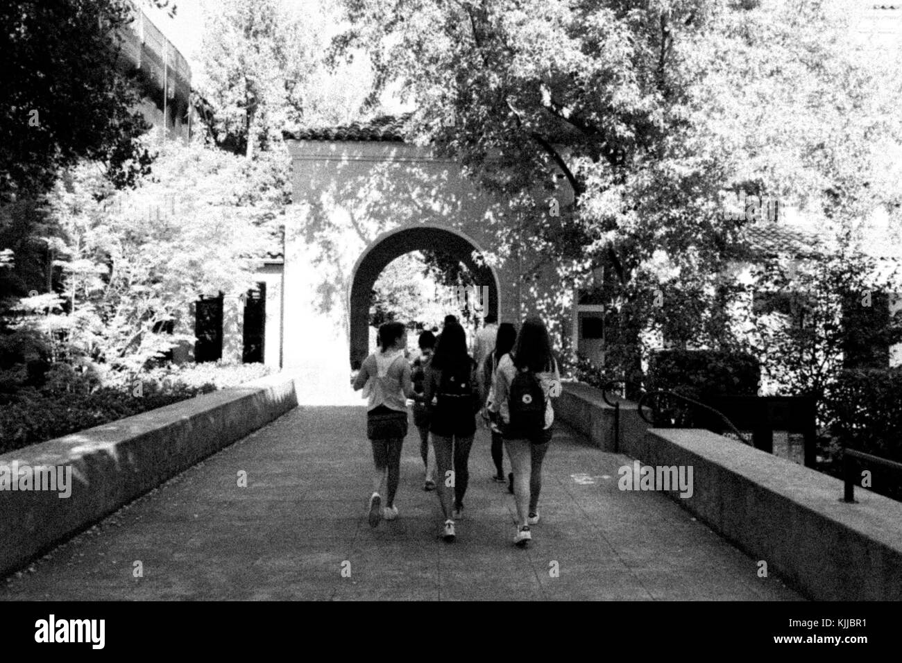 Groupe de personnes marchant sur le campus de Stanford Banque D'Images