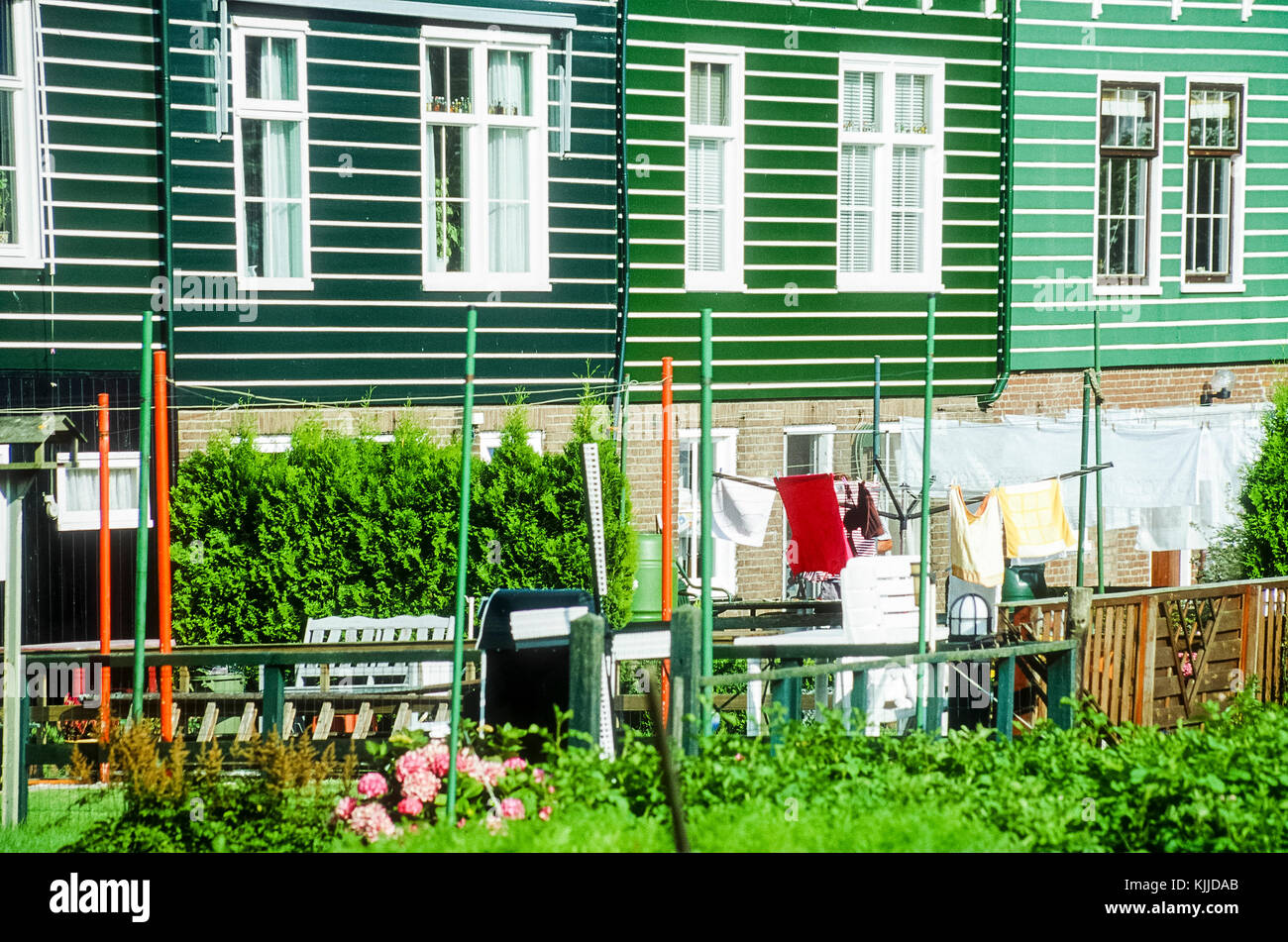 Maisons colorées et des jardins dans la ville de Volendam près d'Amsterdam, Pays-Bas. Banque D'Images