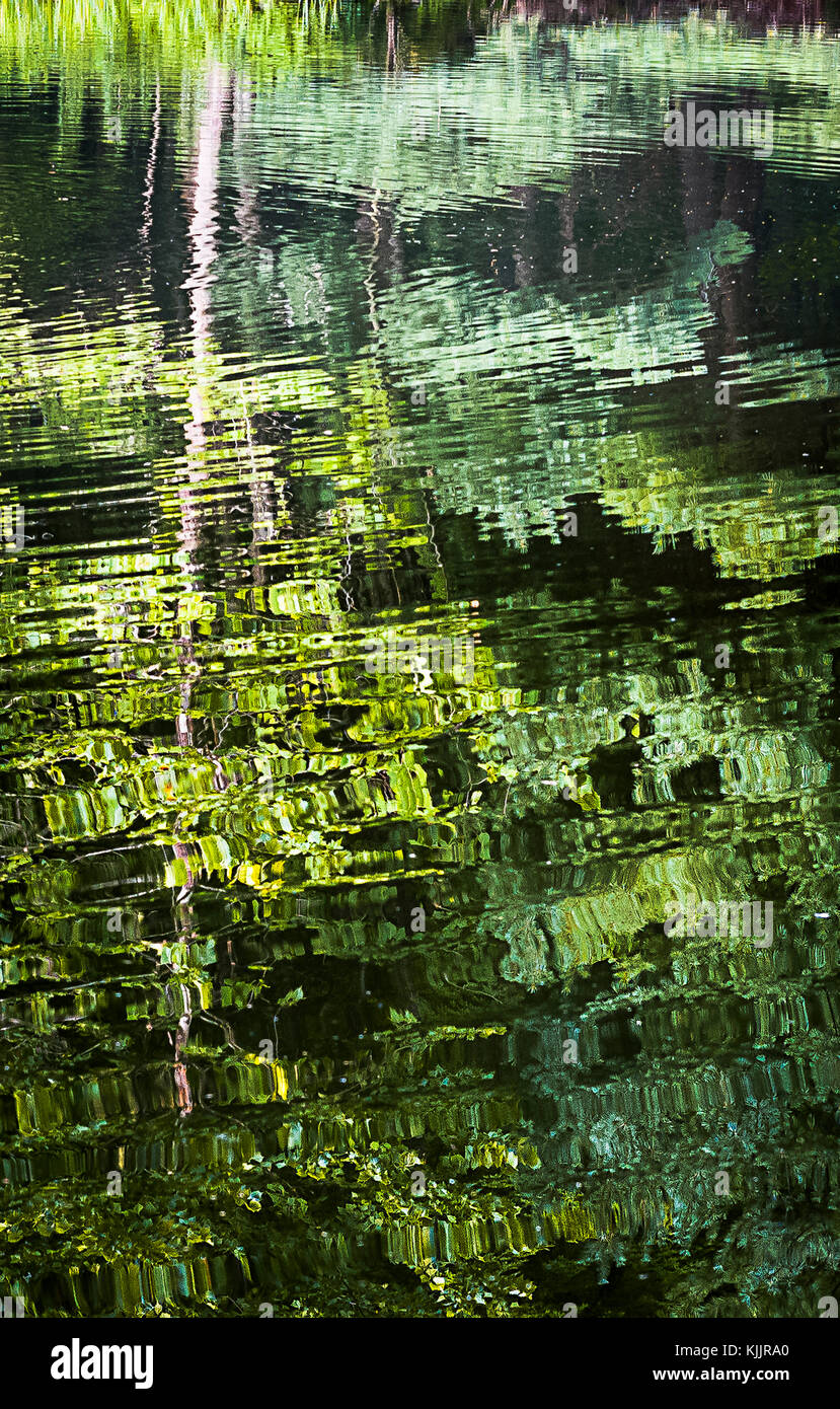 Réflexions sur un lac CONNECTICUT Banque D'Images