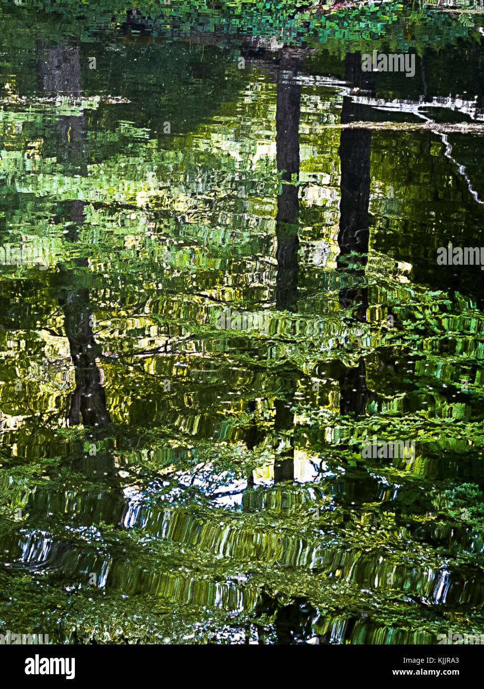 Réflexions sur un lac CONNECTICUT Banque D'Images