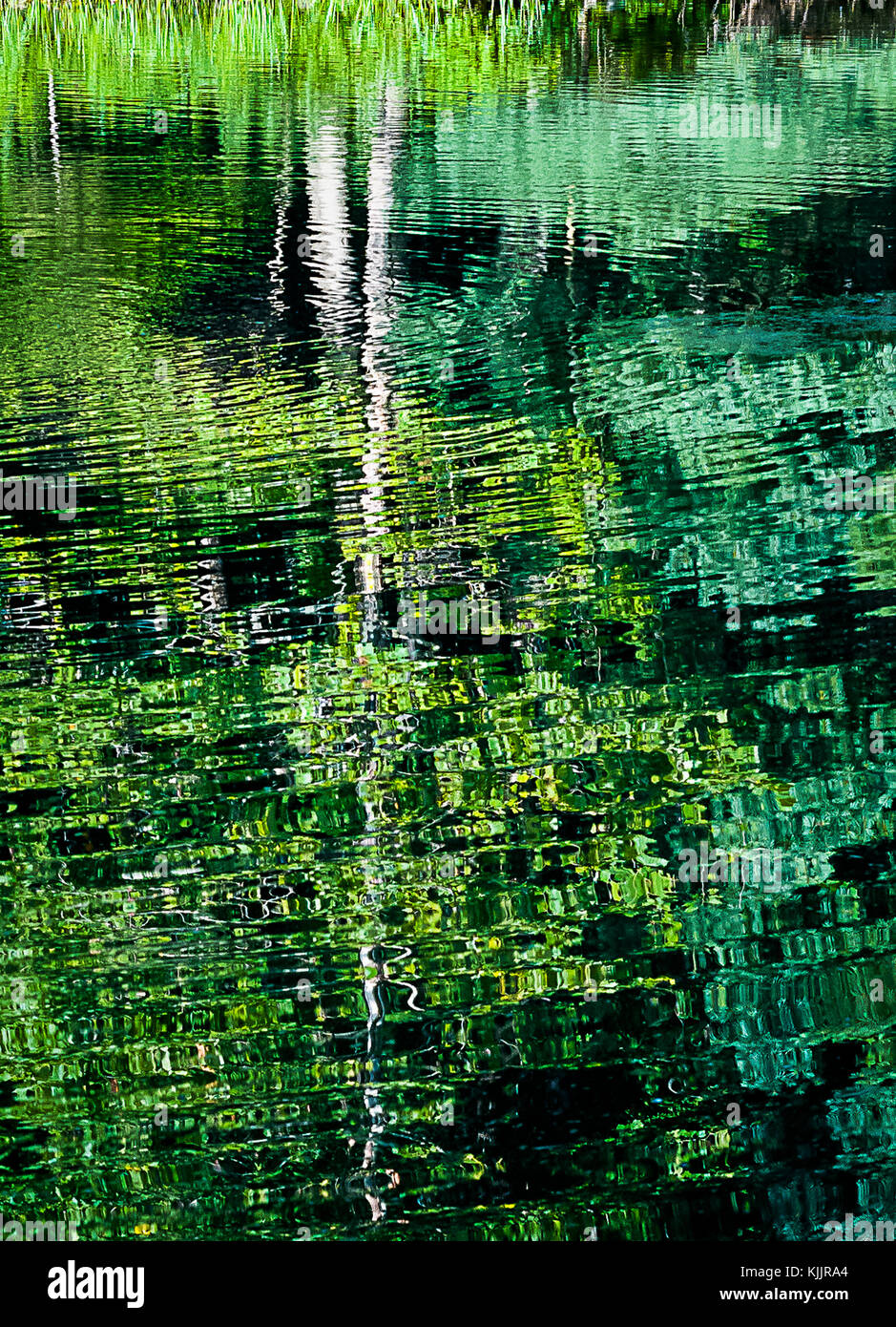 Réflexions sur un lac CONNECTICUT Banque D'Images