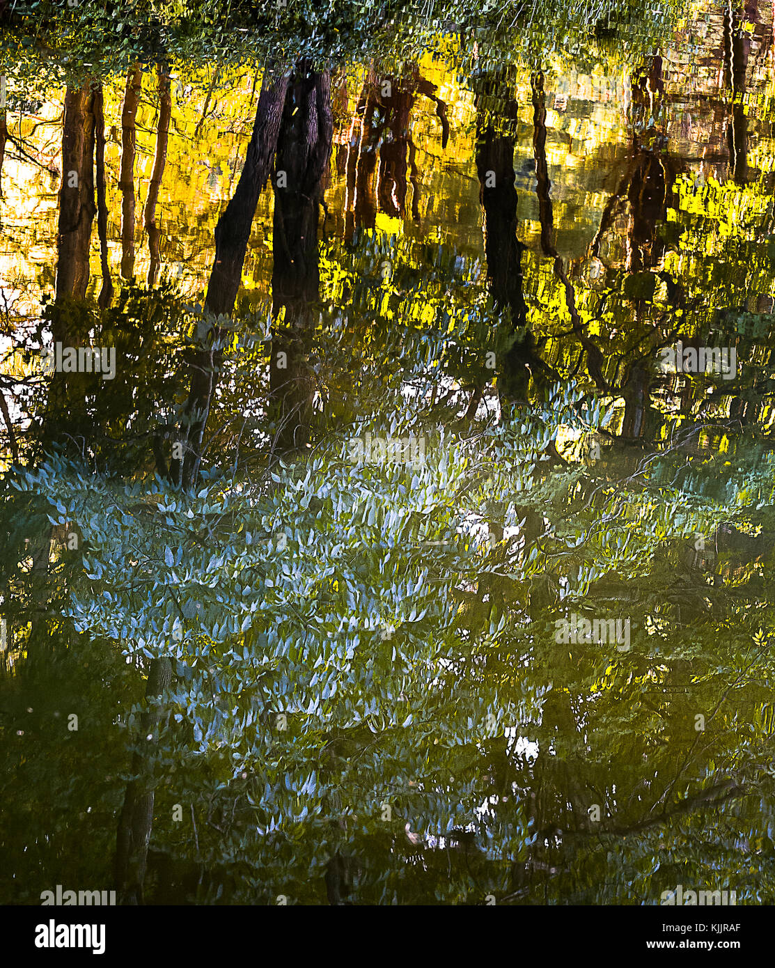 Réflexions sur un lac CONNECTICUT Banque D'Images