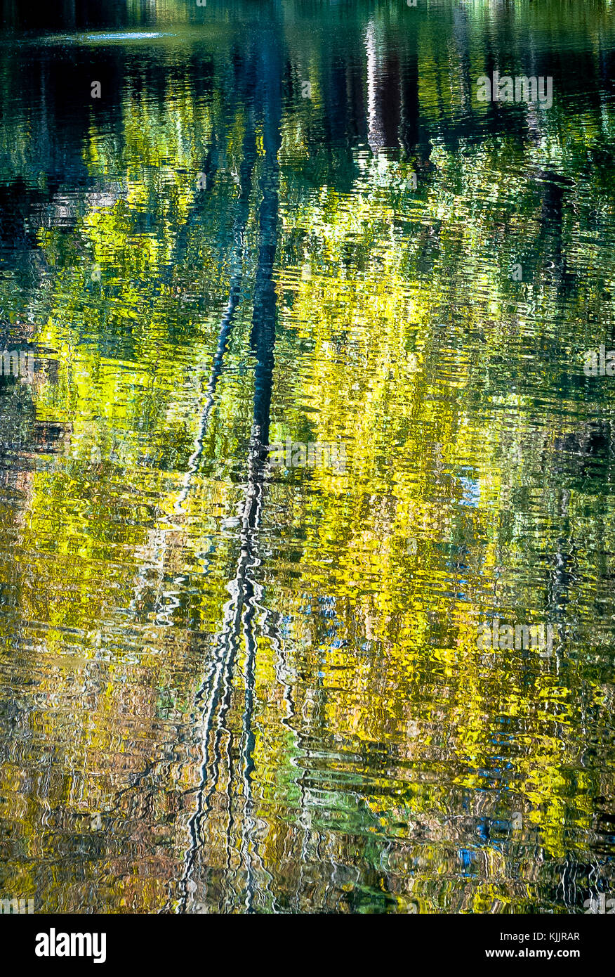 Réflexions sur un lac CONNECTICUT Banque D'Images