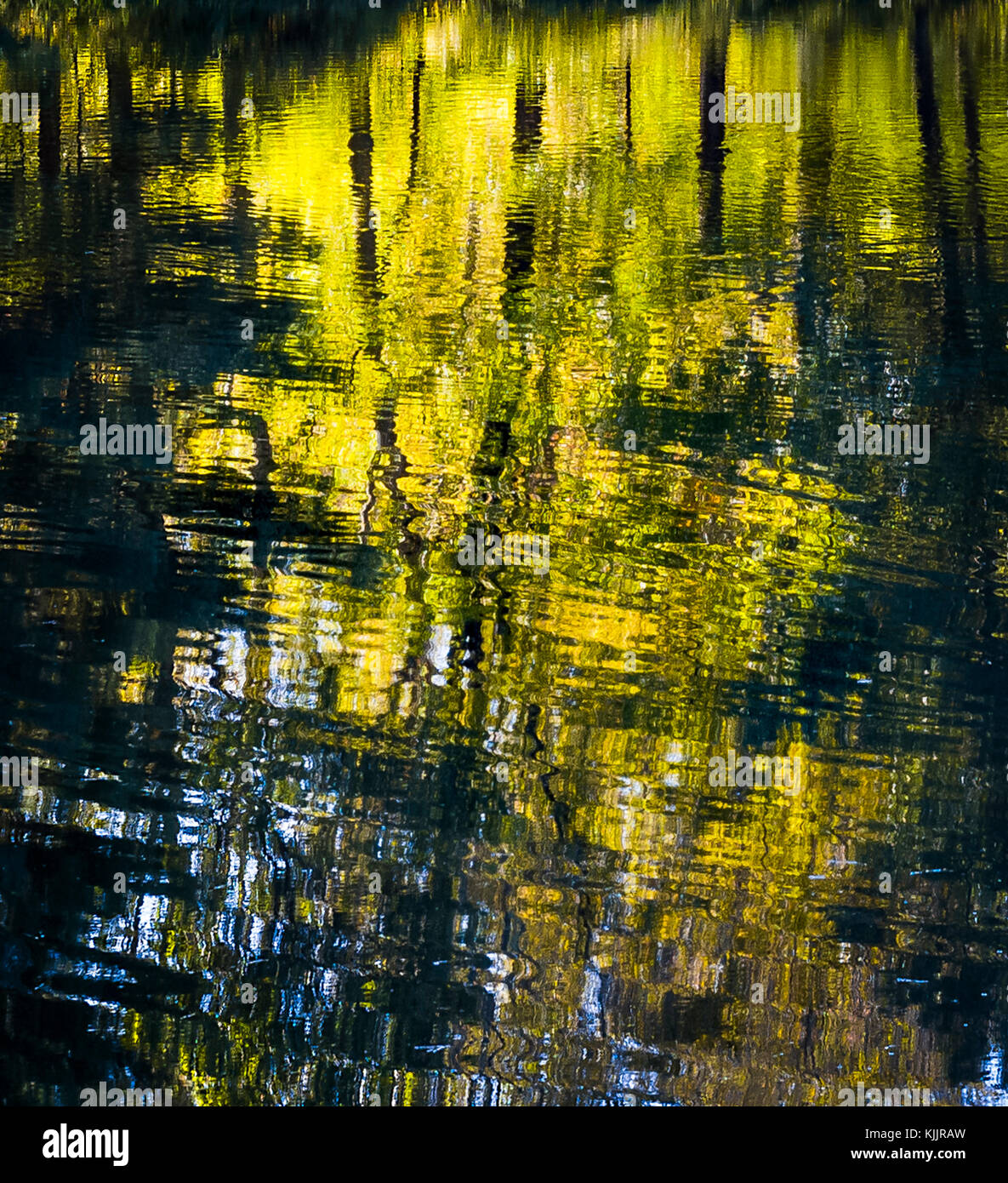 Réflexions sur un lac CONNECTICUT Banque D'Images