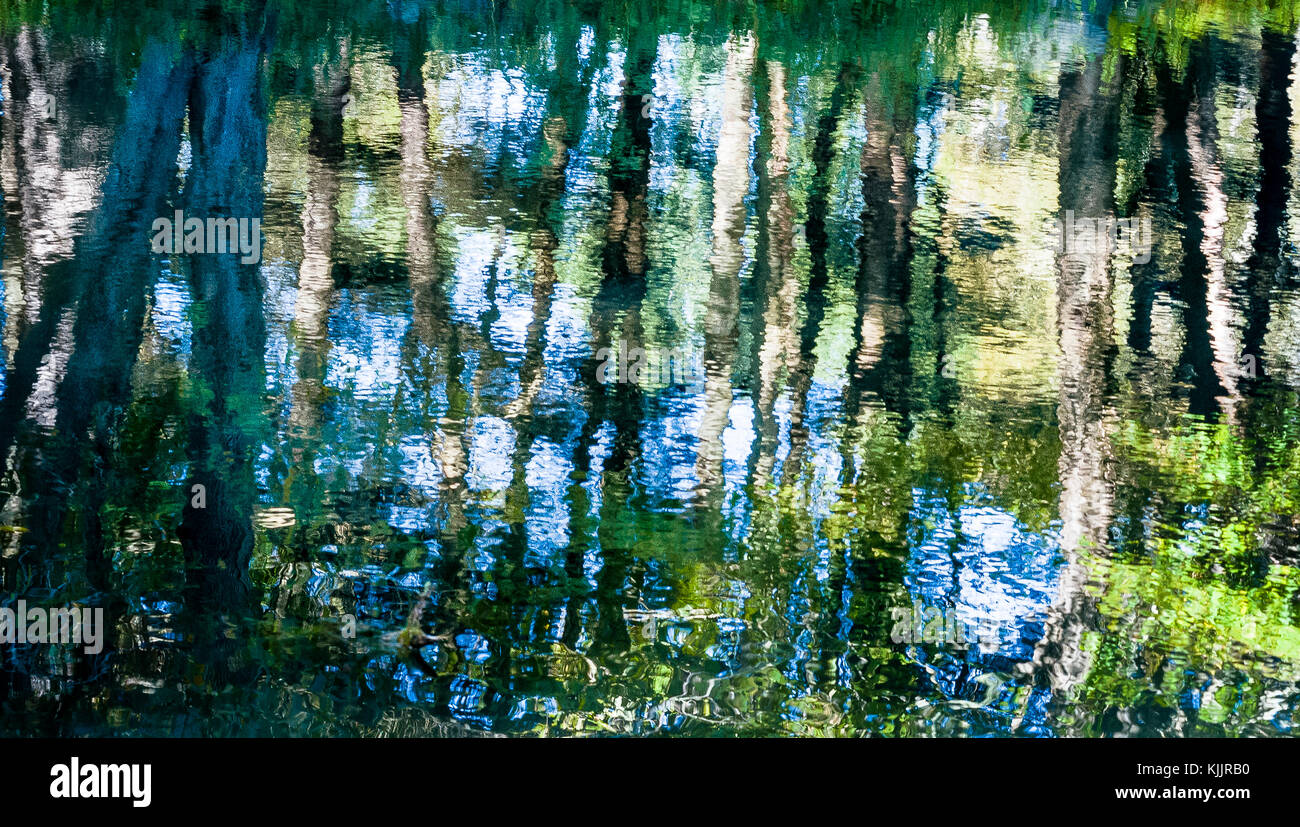 Réflexions sur un lac CONNECTICUT Banque D'Images