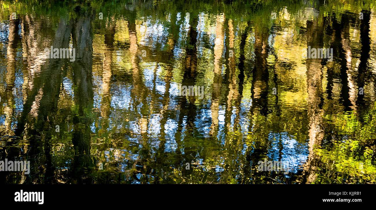 Réflexions sur un lac CONNECTICUT Banque D'Images