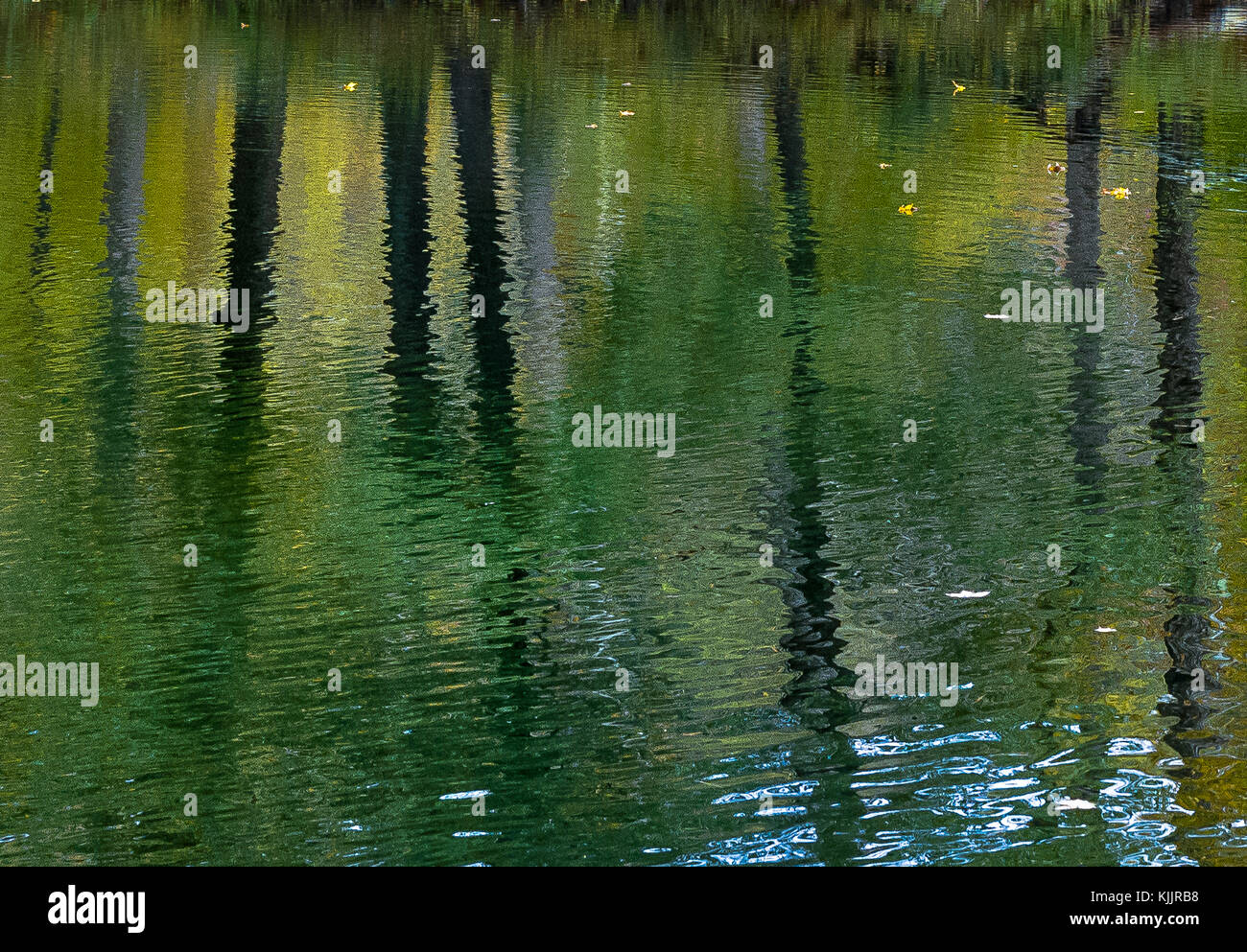 Réflexions sur un lac CONNECTICUT Banque D'Images