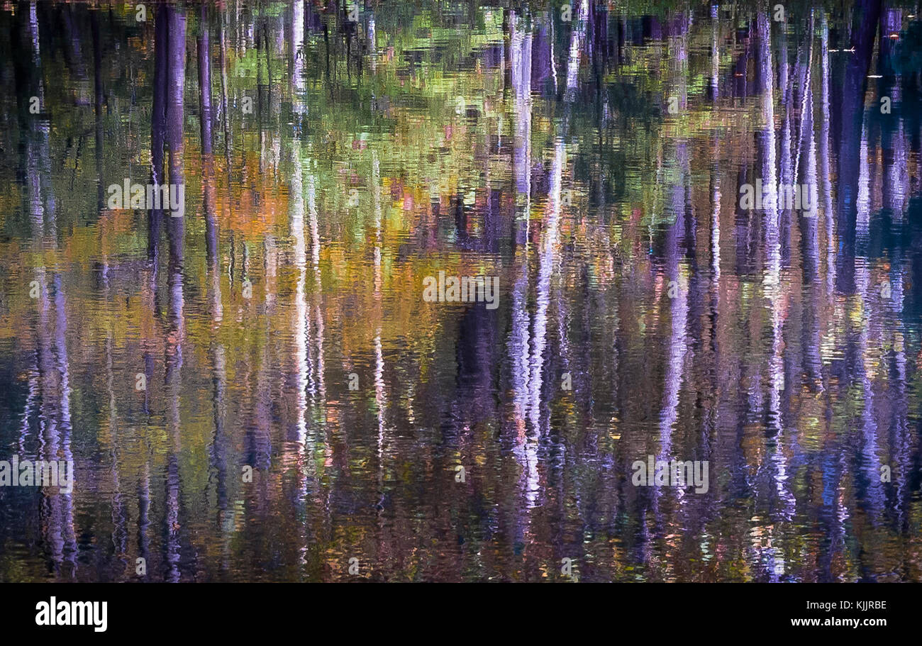 Réflexions sur un lac CONNECTICUT Banque D'Images