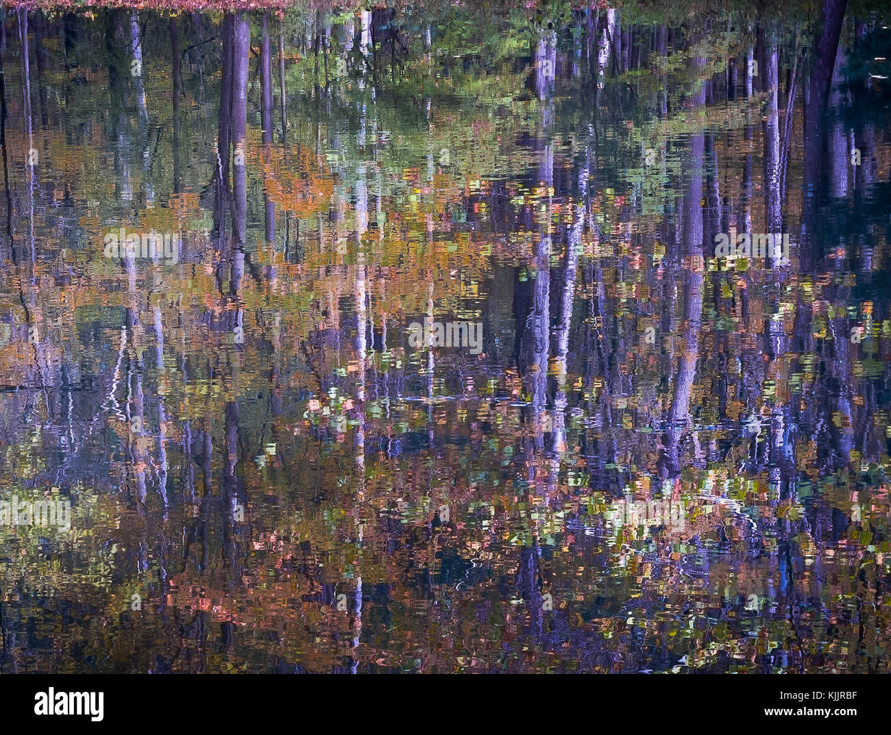 8 IN SANFORDTOWN ROAD REDDING California 06896 Banque D'Images