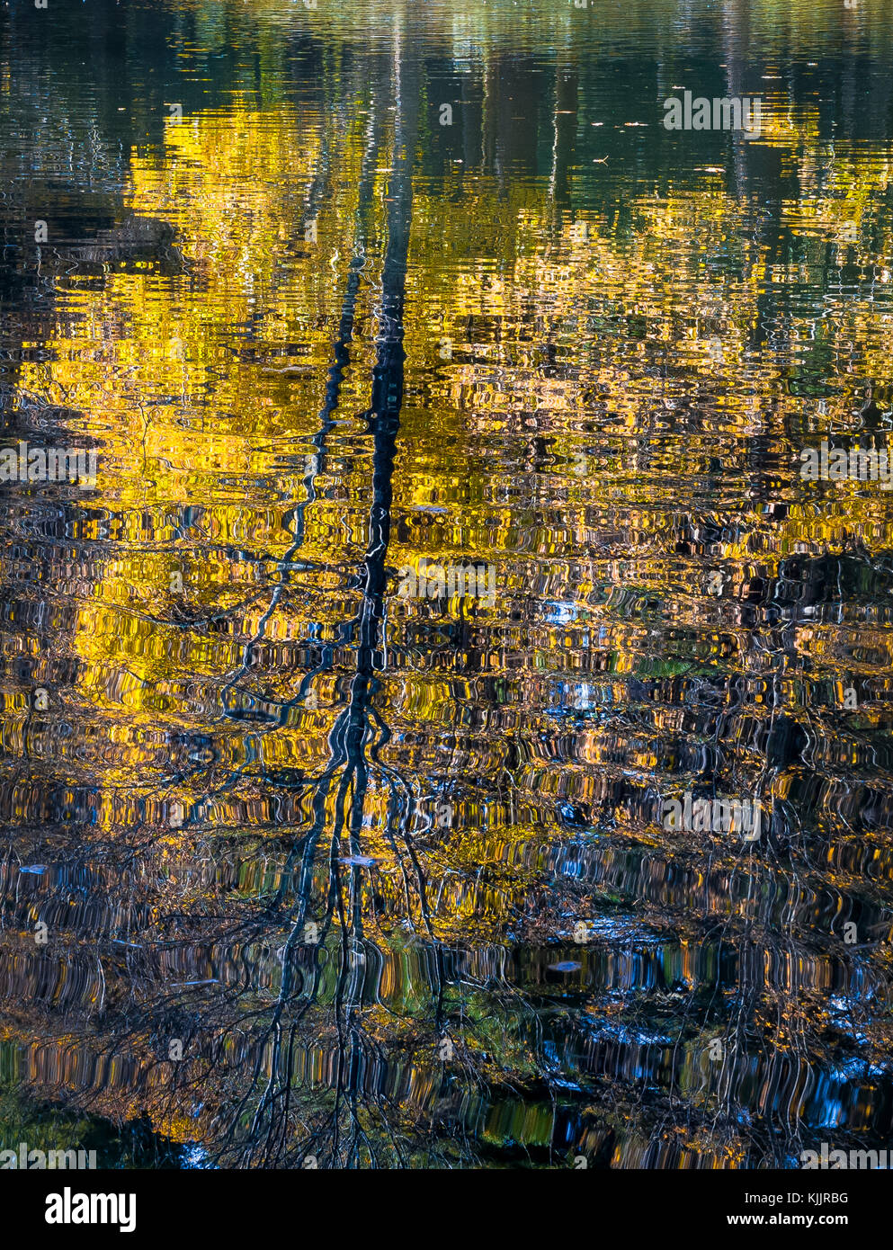 Réflexions sur un lac CONNECTICUT Banque D'Images