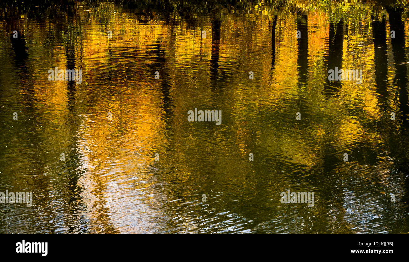 8 IN SANFORDTOWN ROAD REDDING California 06896 Banque D'Images