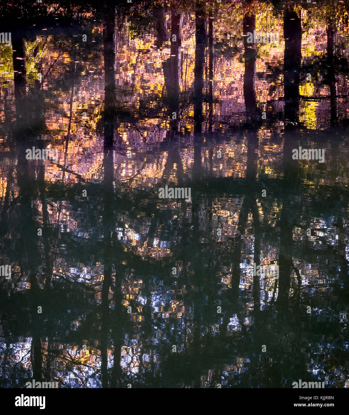 Réflexions sur un lac CONNECTICUT Banque D'Images