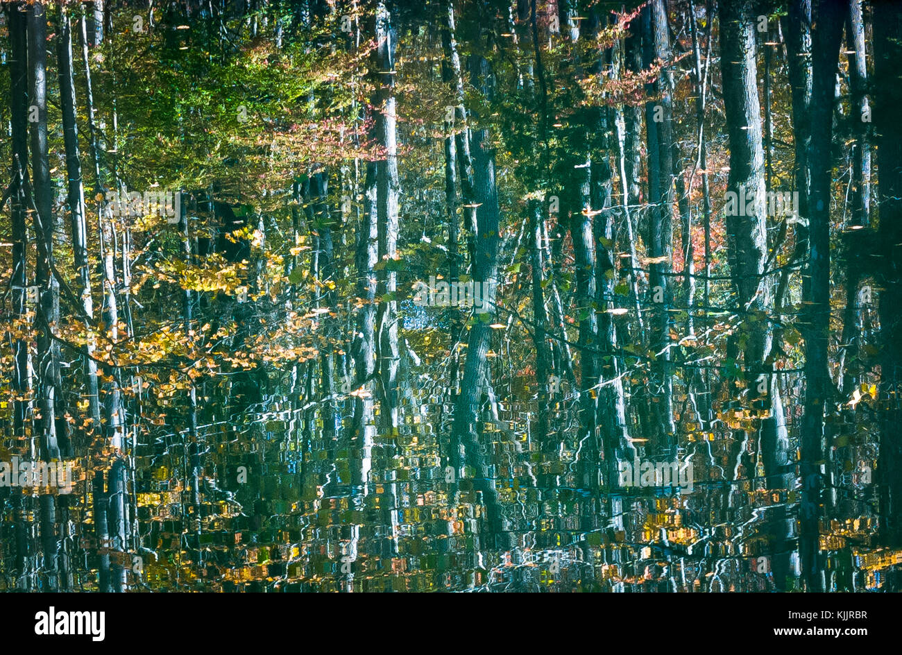 8 IN SANFORDTOWN ROAD REDDING California 06896 Banque D'Images