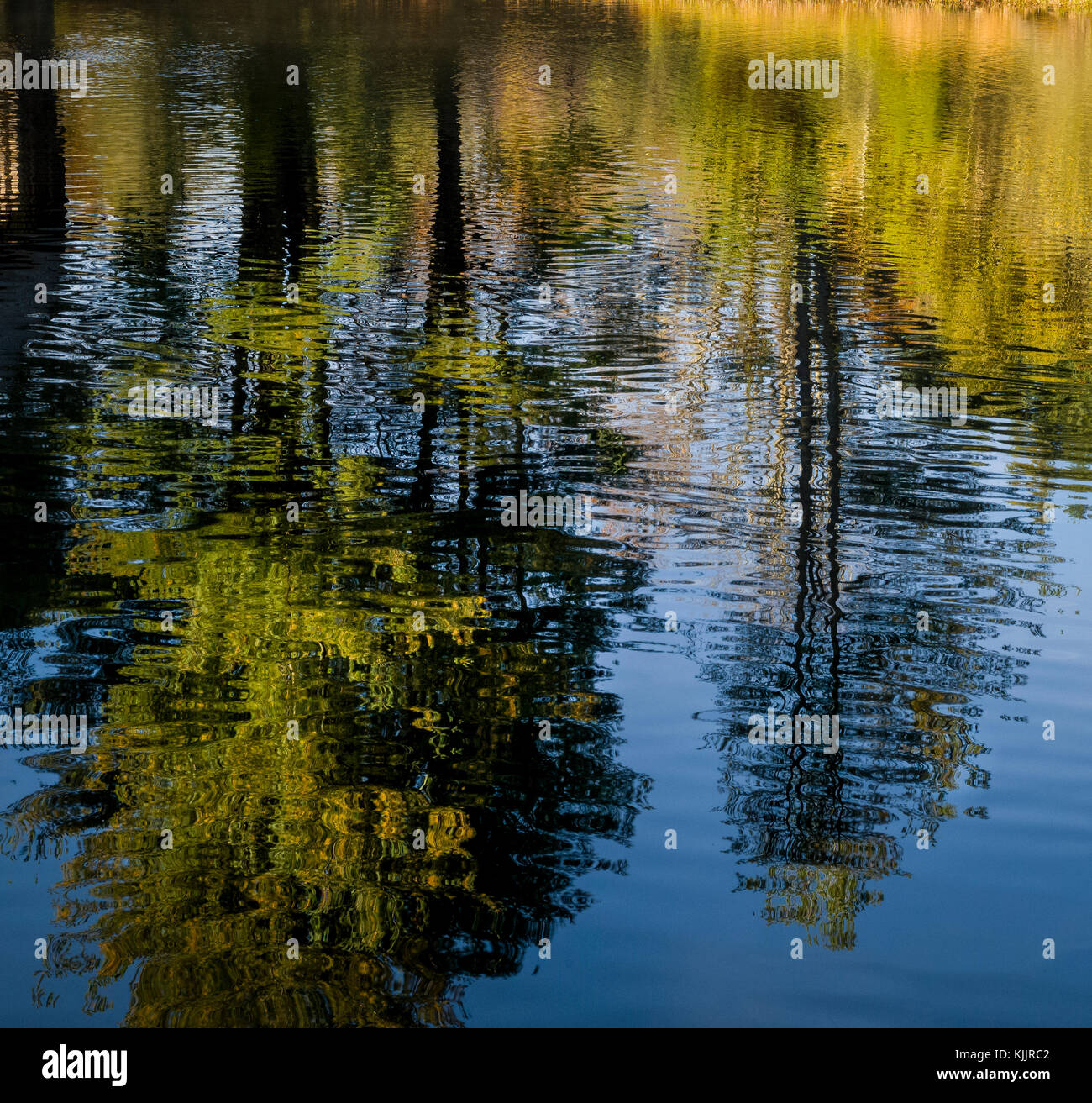 8 IN SANFORDTOWN ROAD REDDING California 06896 Banque D'Images