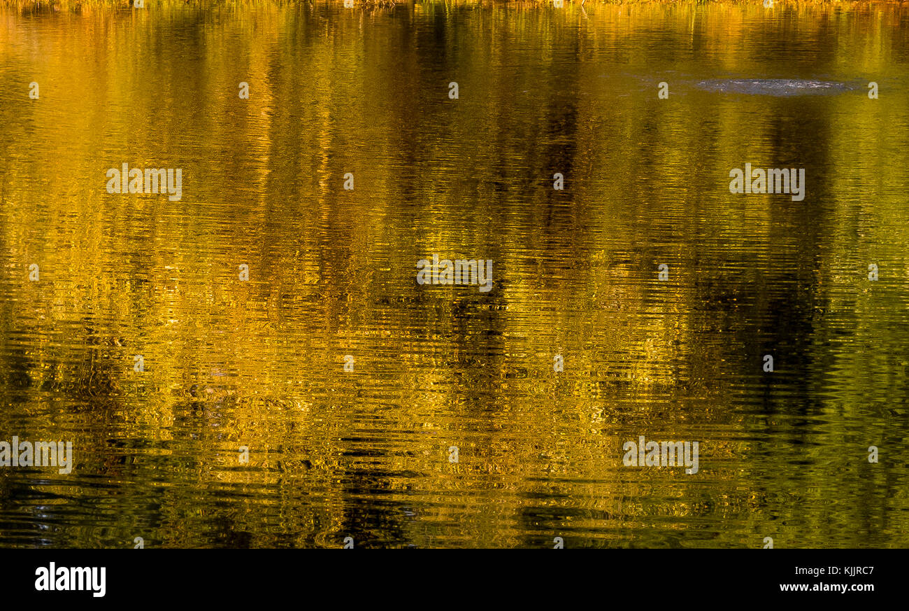 Réflexions sur un lac CONNECTICUT Banque D'Images