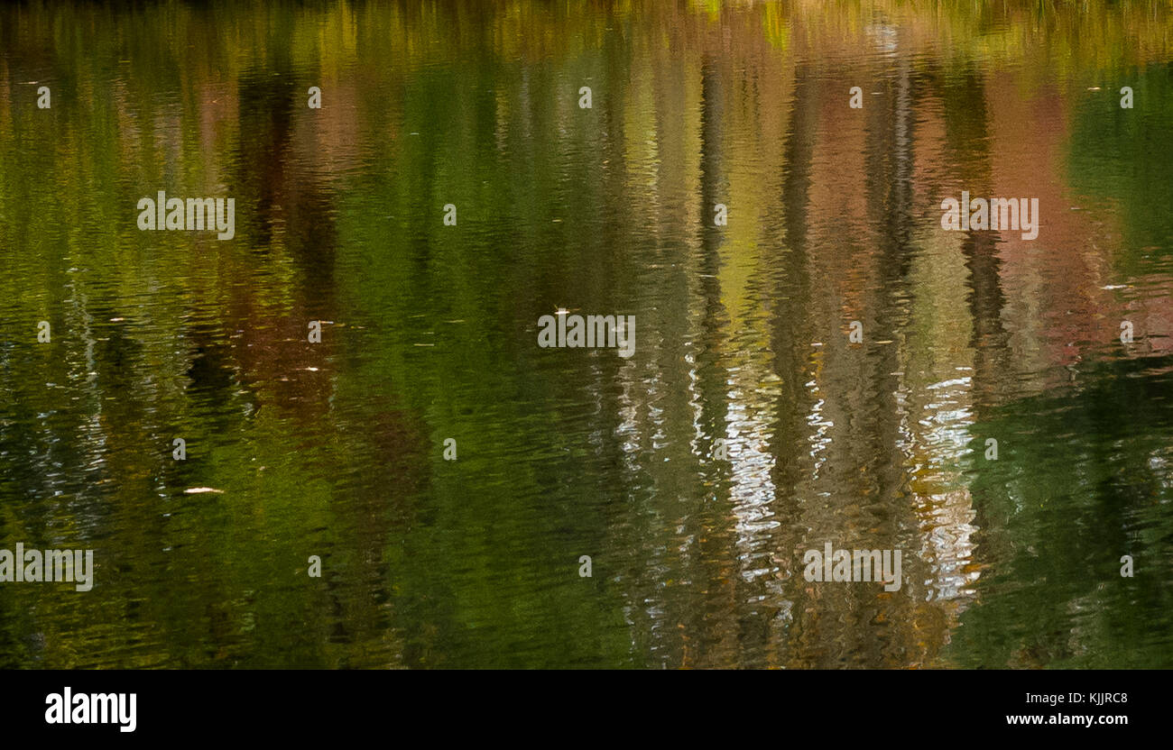 Réflexions sur un lac CONNECTICUT Banque D'Images