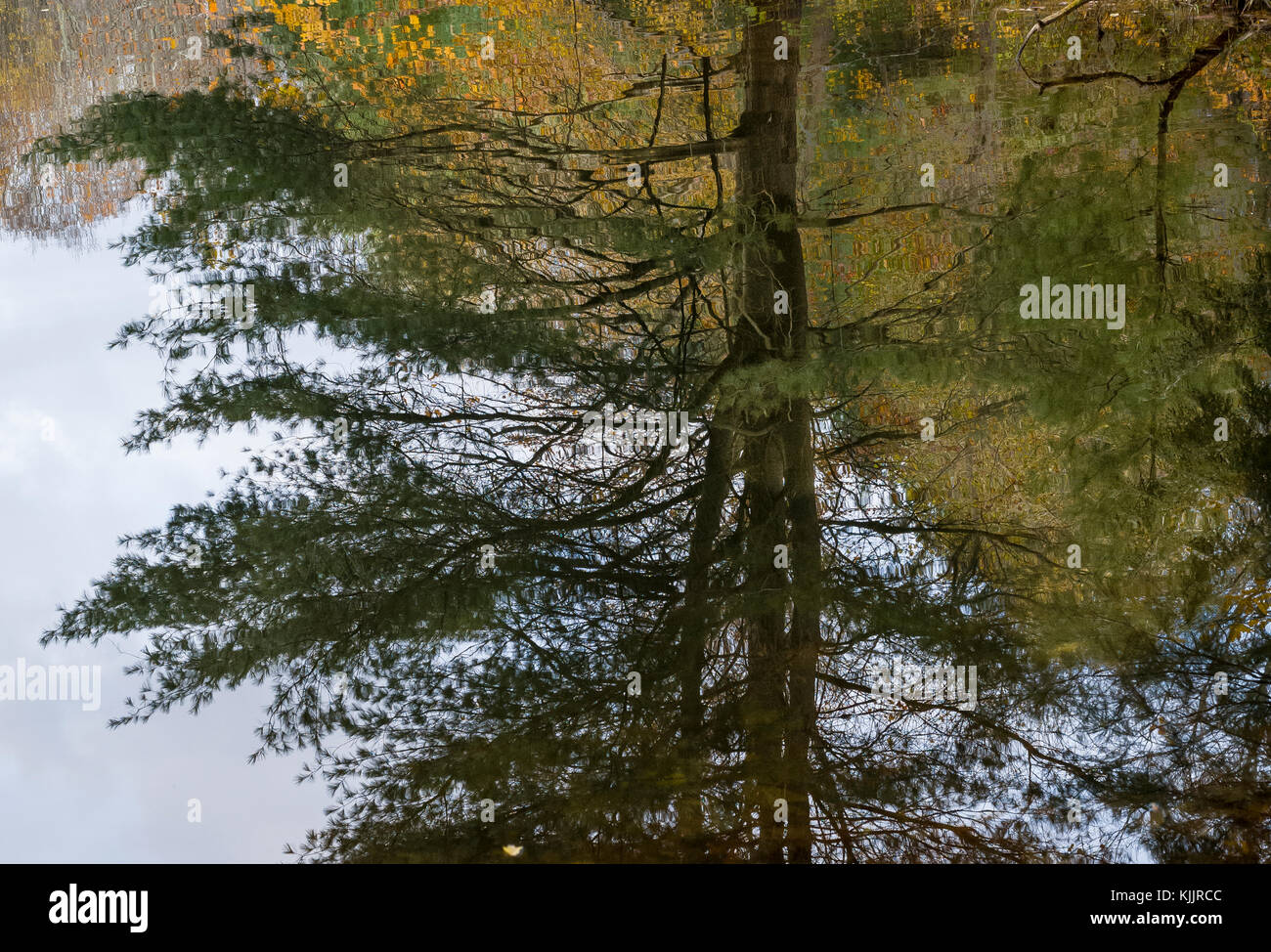 Réflexions sur un lac CONNECTICUT Banque D'Images