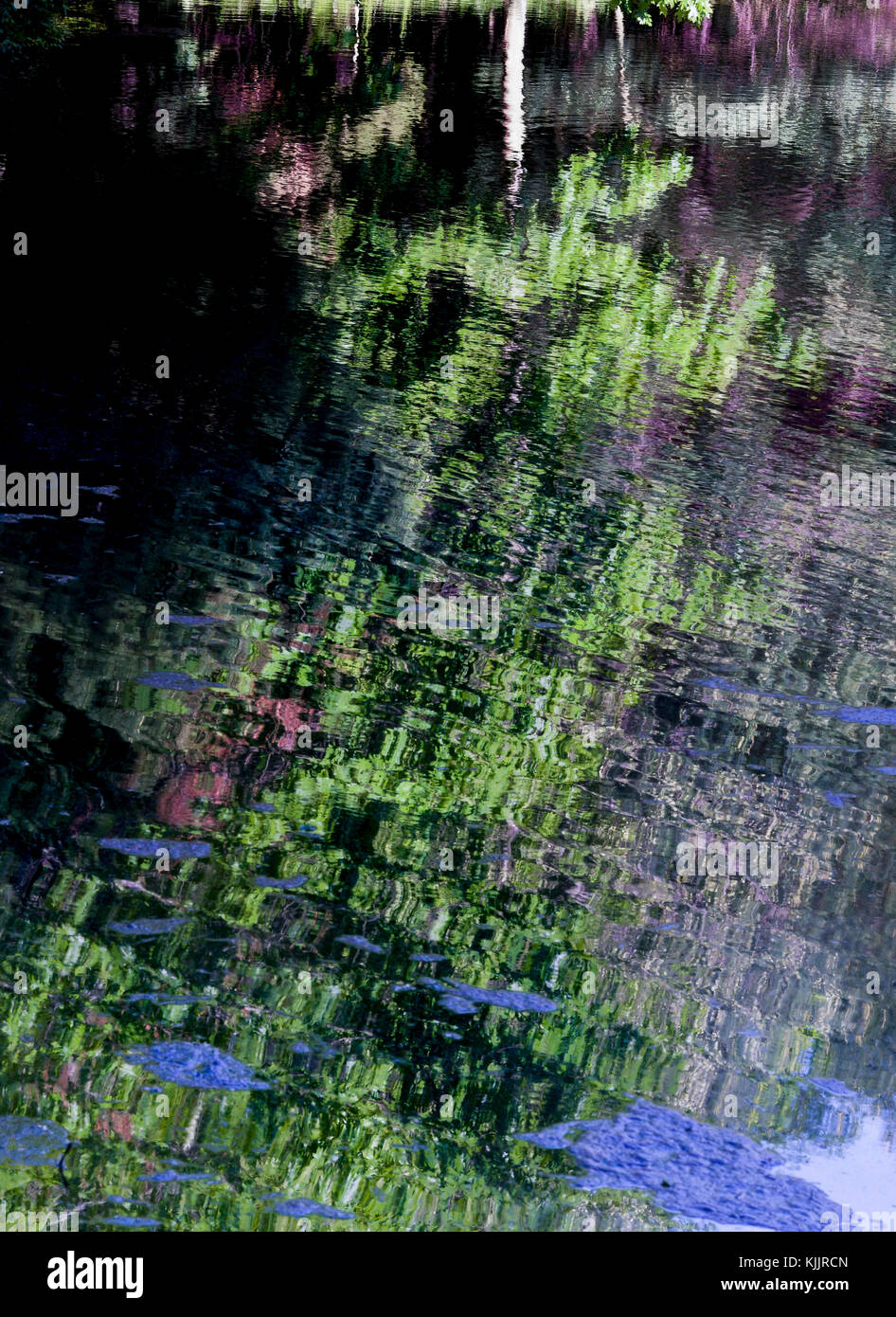 Réflexions sur un lac CONNECTICUT Banque D'Images