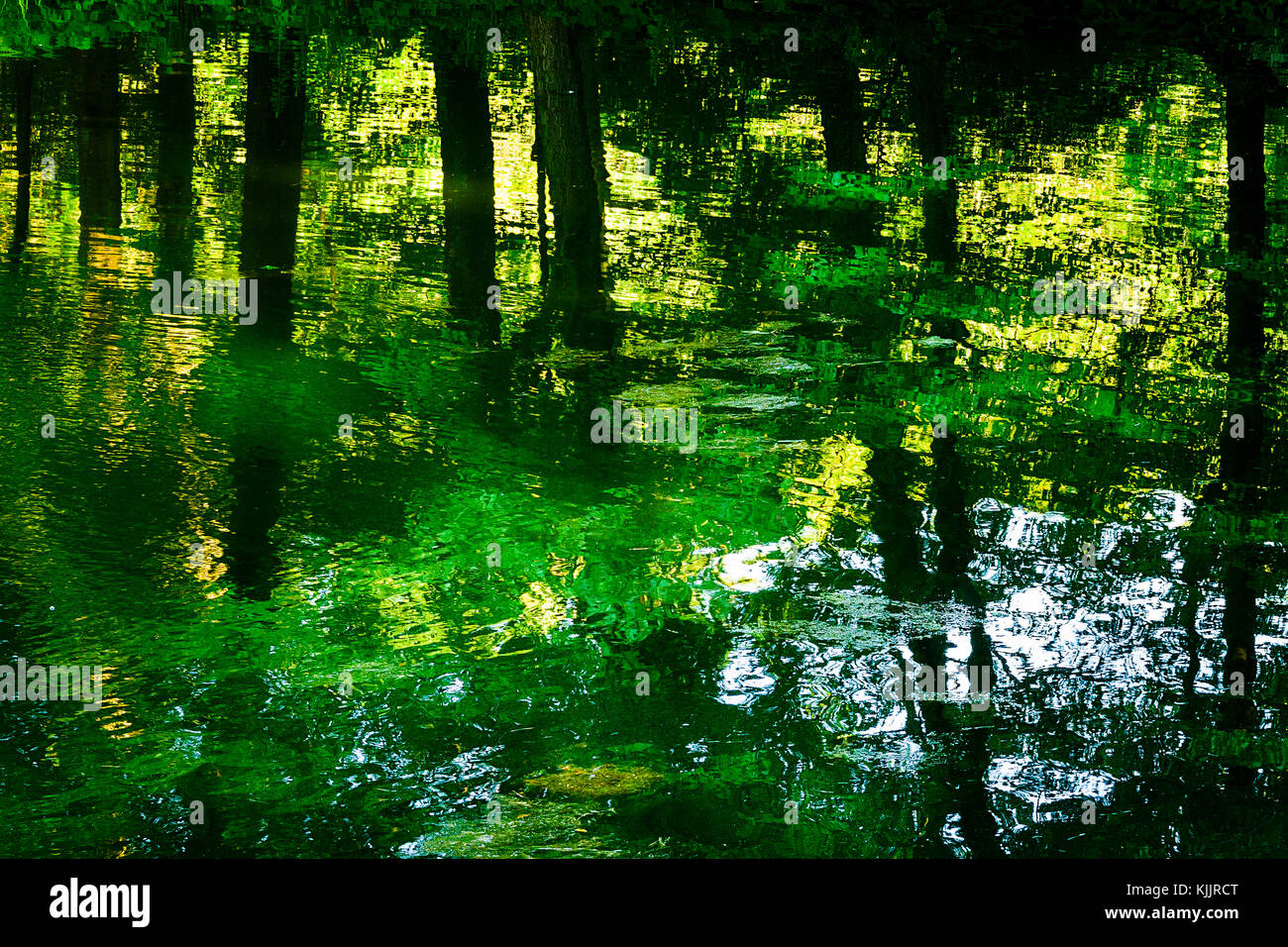 Réflexions sur un lac CONNECTICUT Banque D'Images