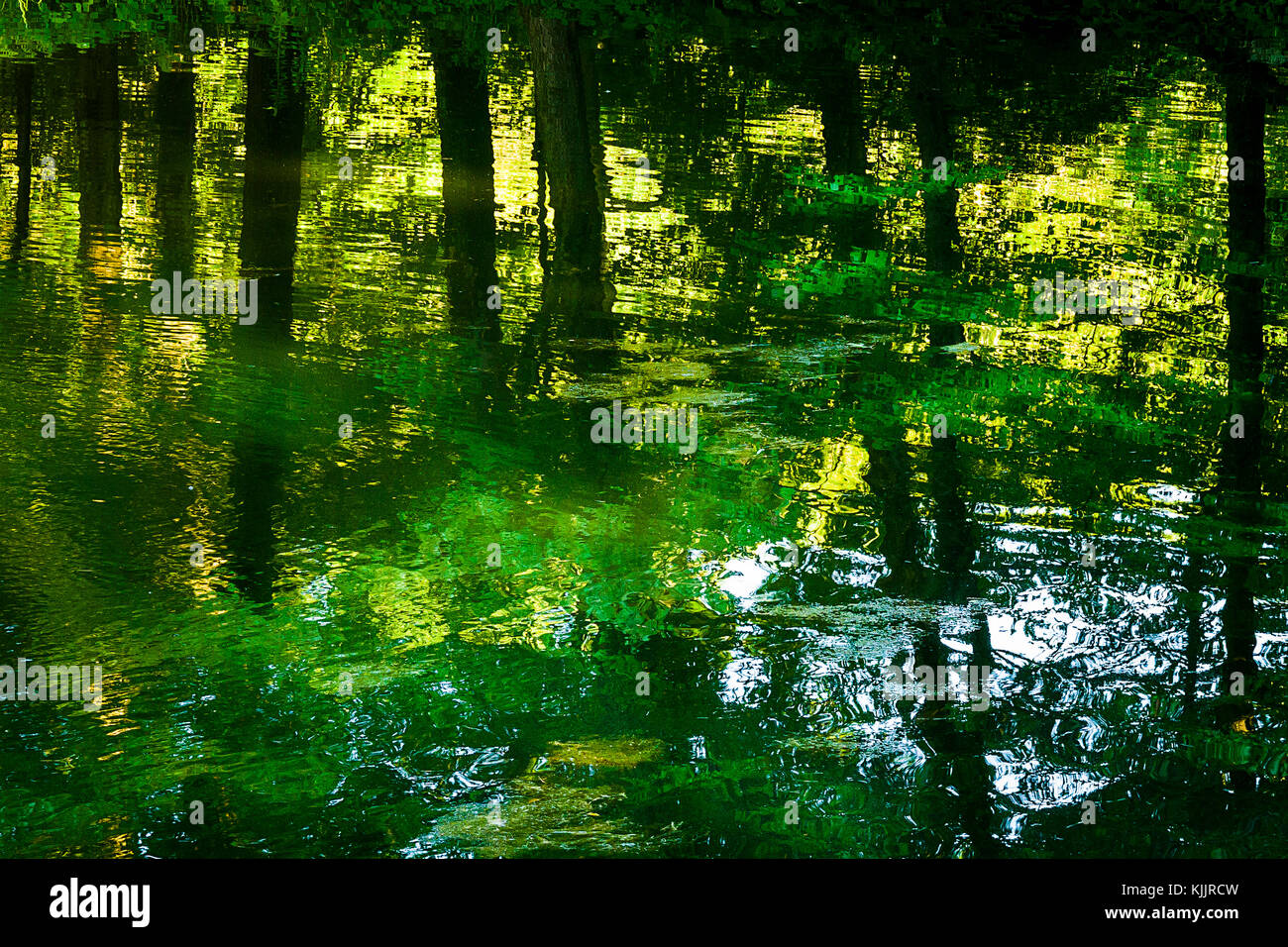 Réflexions sur un lac CONNECTICUT Banque D'Images