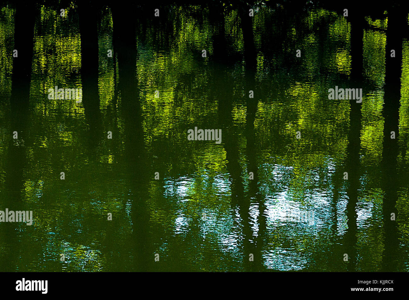 Réflexions sur un lac CONNECTICUT Banque D'Images