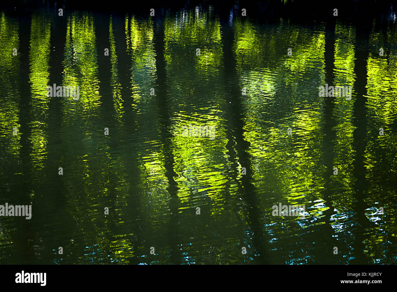 Réflexions sur un lac CONNECTICUT Banque D'Images
