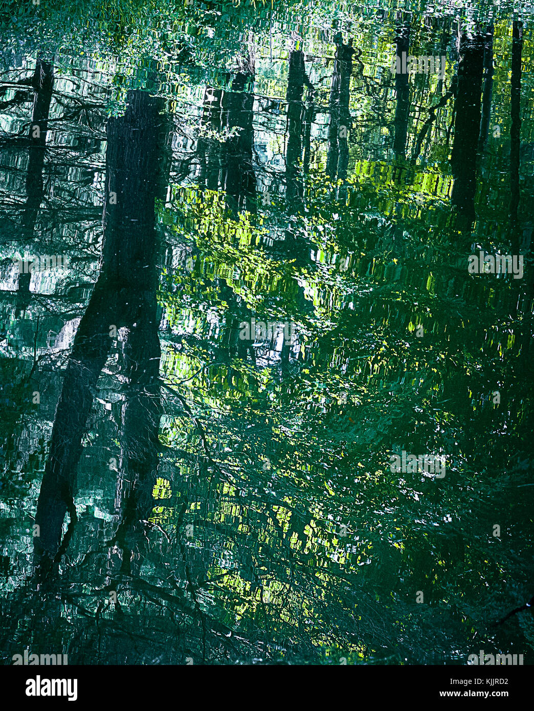 Réflexions sur un lac CONNECTICUT Banque D'Images